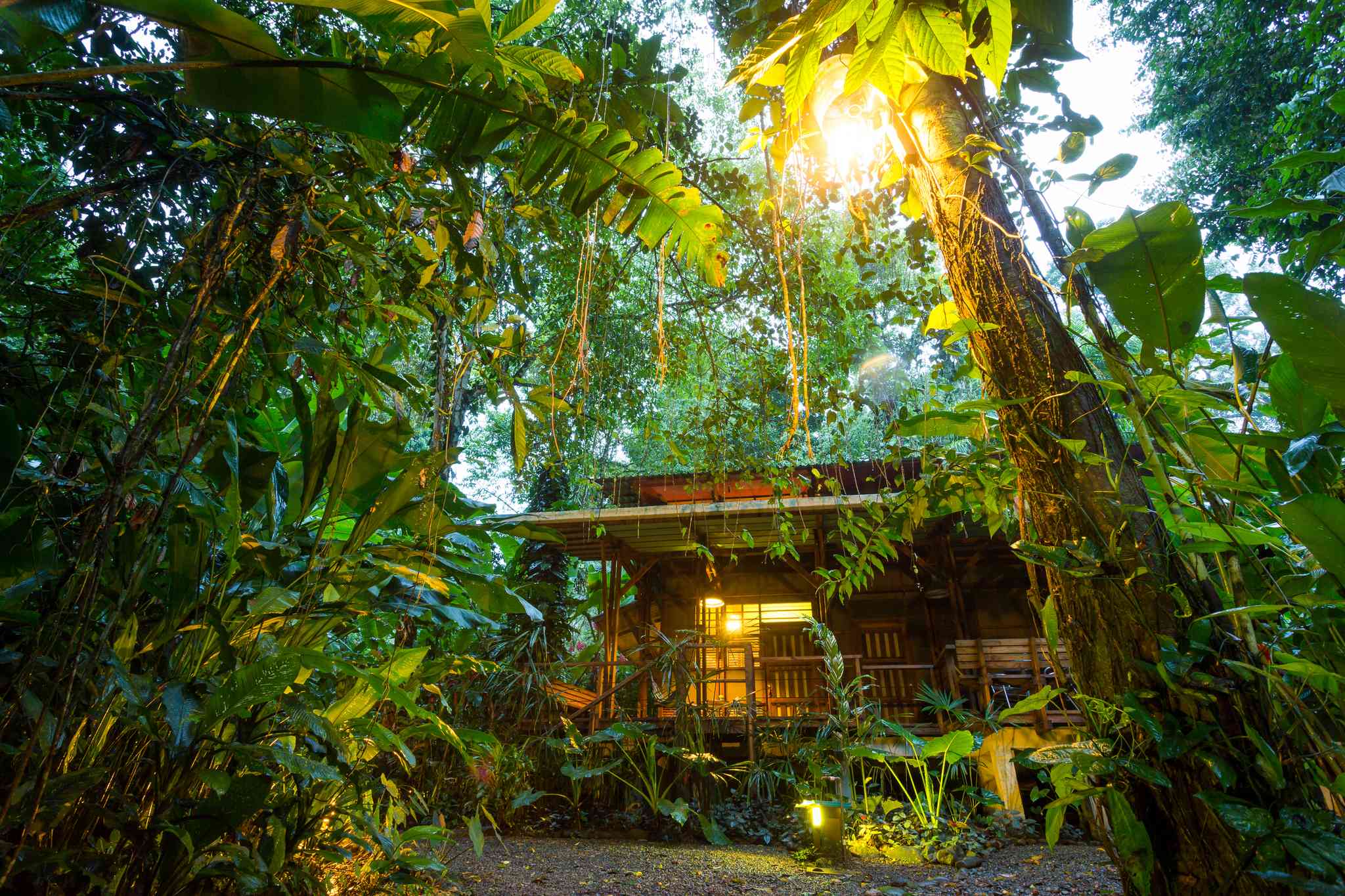 Puerto Viejo 의 경치 - Uvita 에서 출발하는 개인 day trip - 사진 5