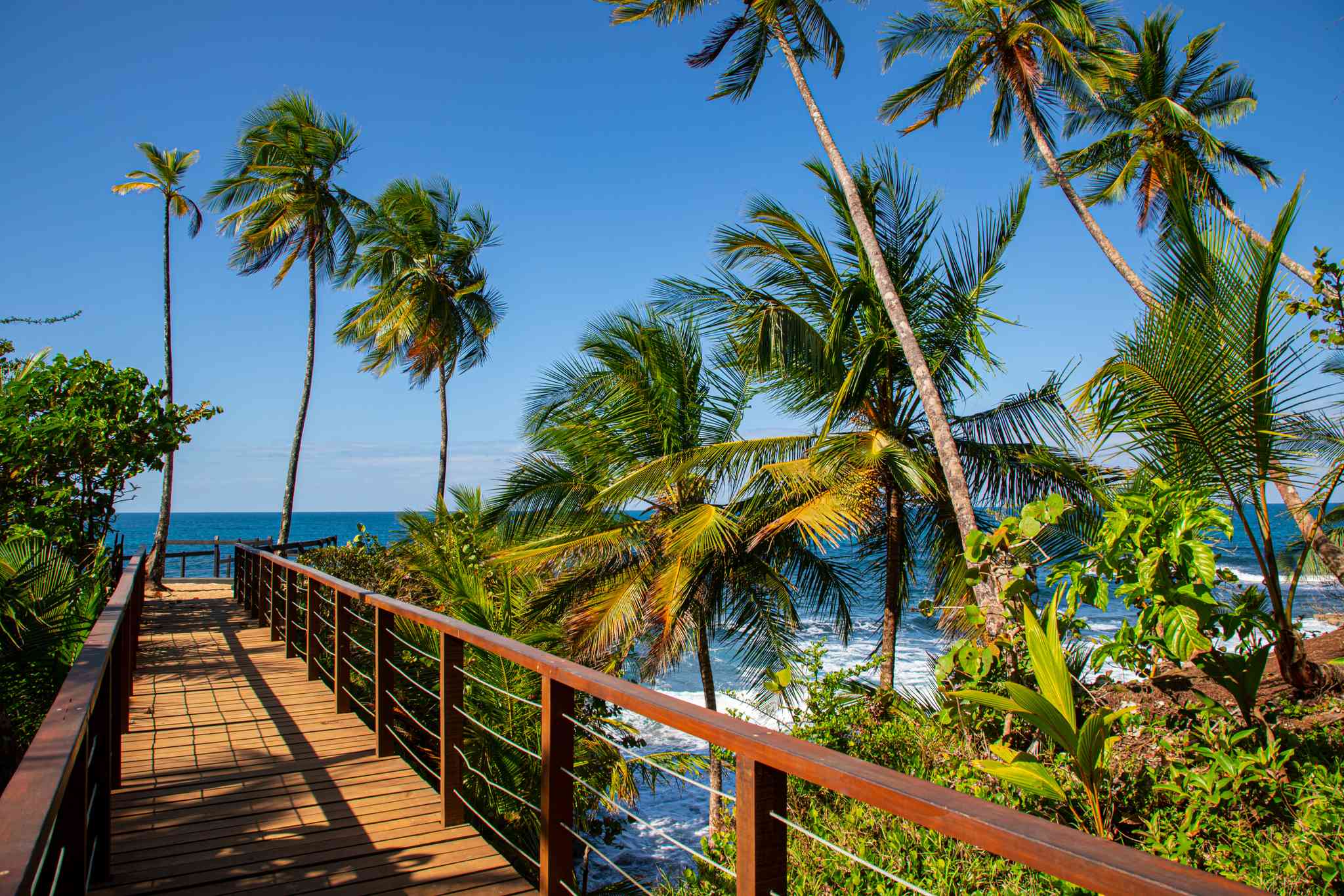 Puerto Viejo 의 경치 - Uvita 에서 출발하는 개인 day trip - 사진 4