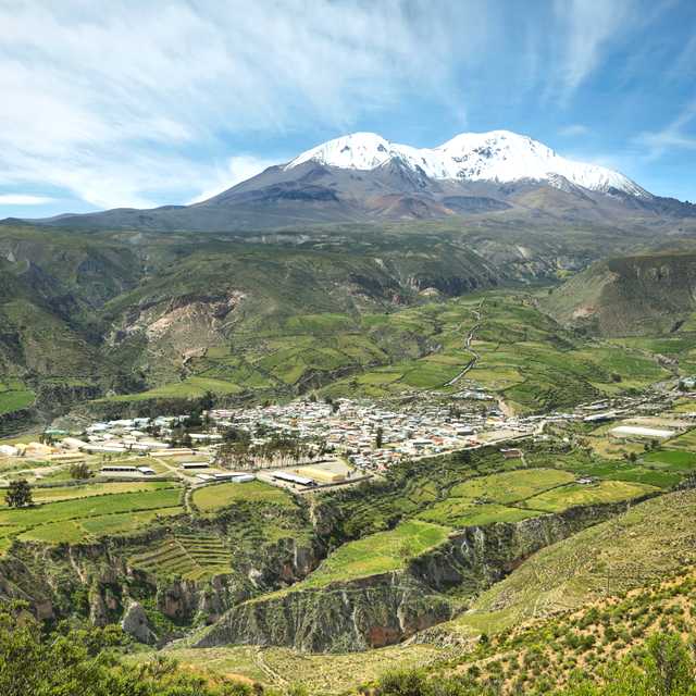 Arica to Putre and Lauca National Park: Private day trip
