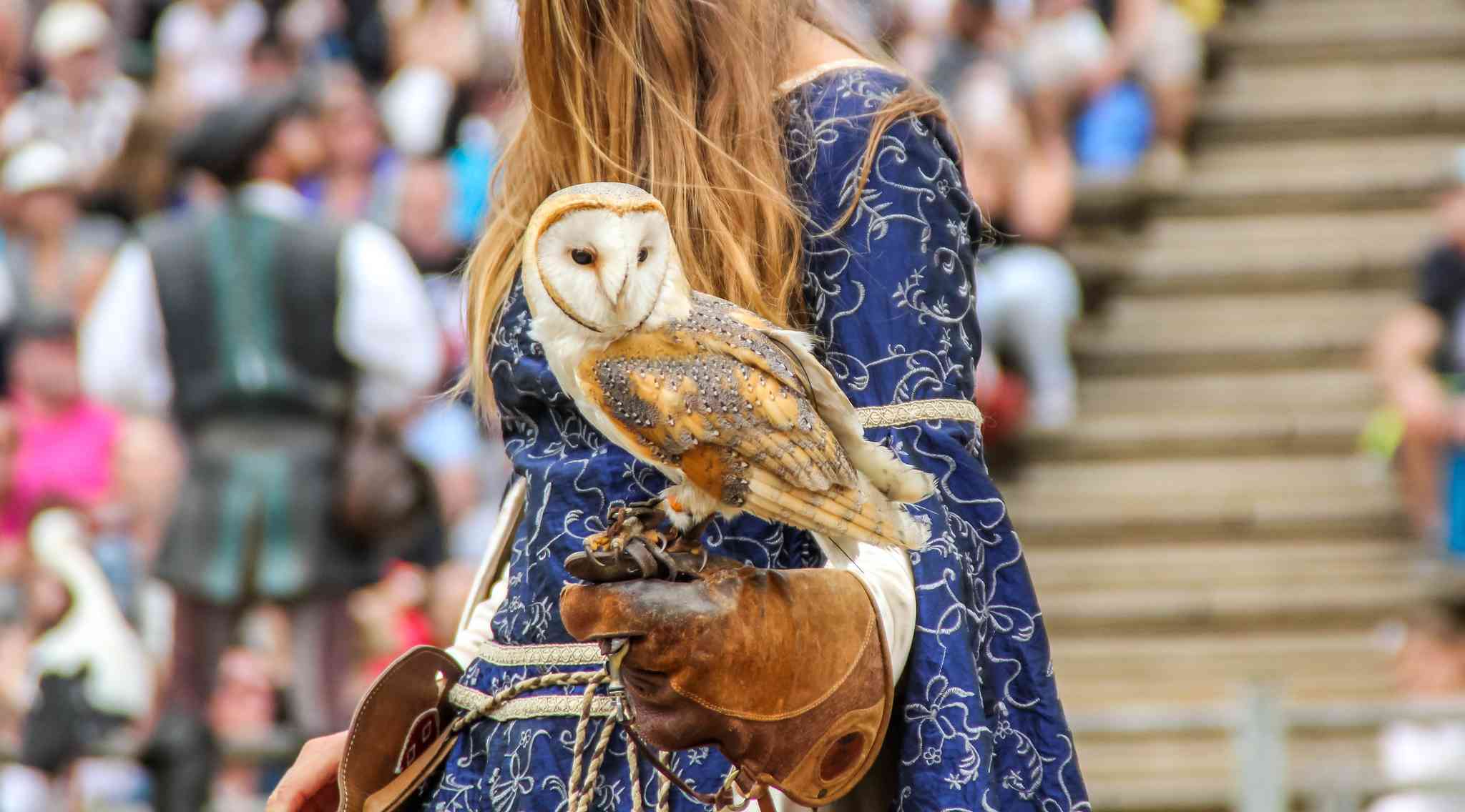Vista panorámica de Nantes - excursión privada de un día desde Puy du Fou - foto 3