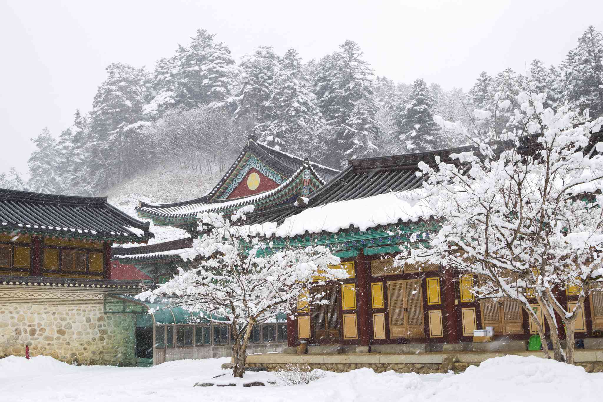Blick auf die Landschaft von Pyeongchang - private Tagesreise von Busan - Foto 2