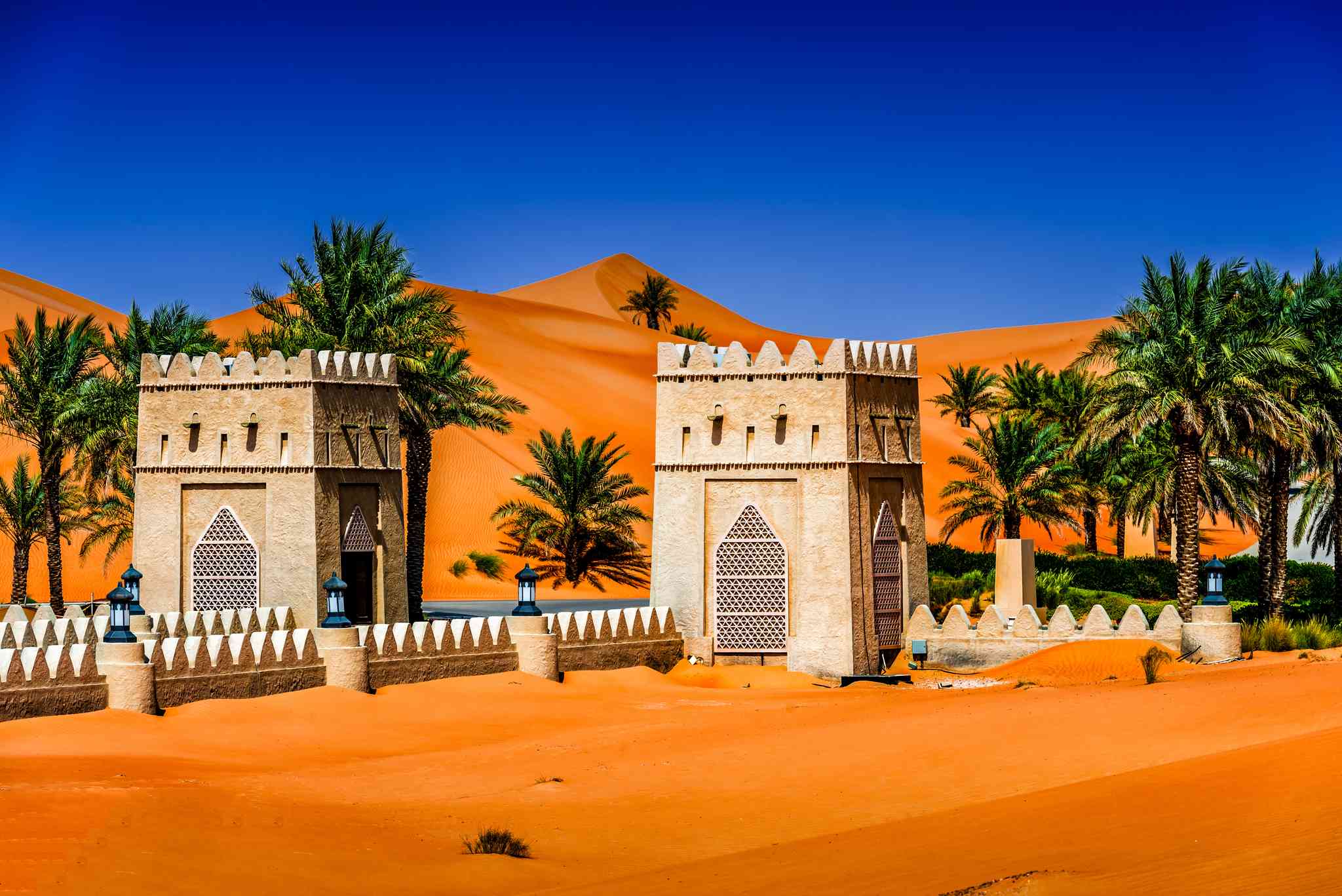 Dubai International Airport 의 경치 - Qasr Al Sarab 에서 출발하는 개인 day trip - 사진 3