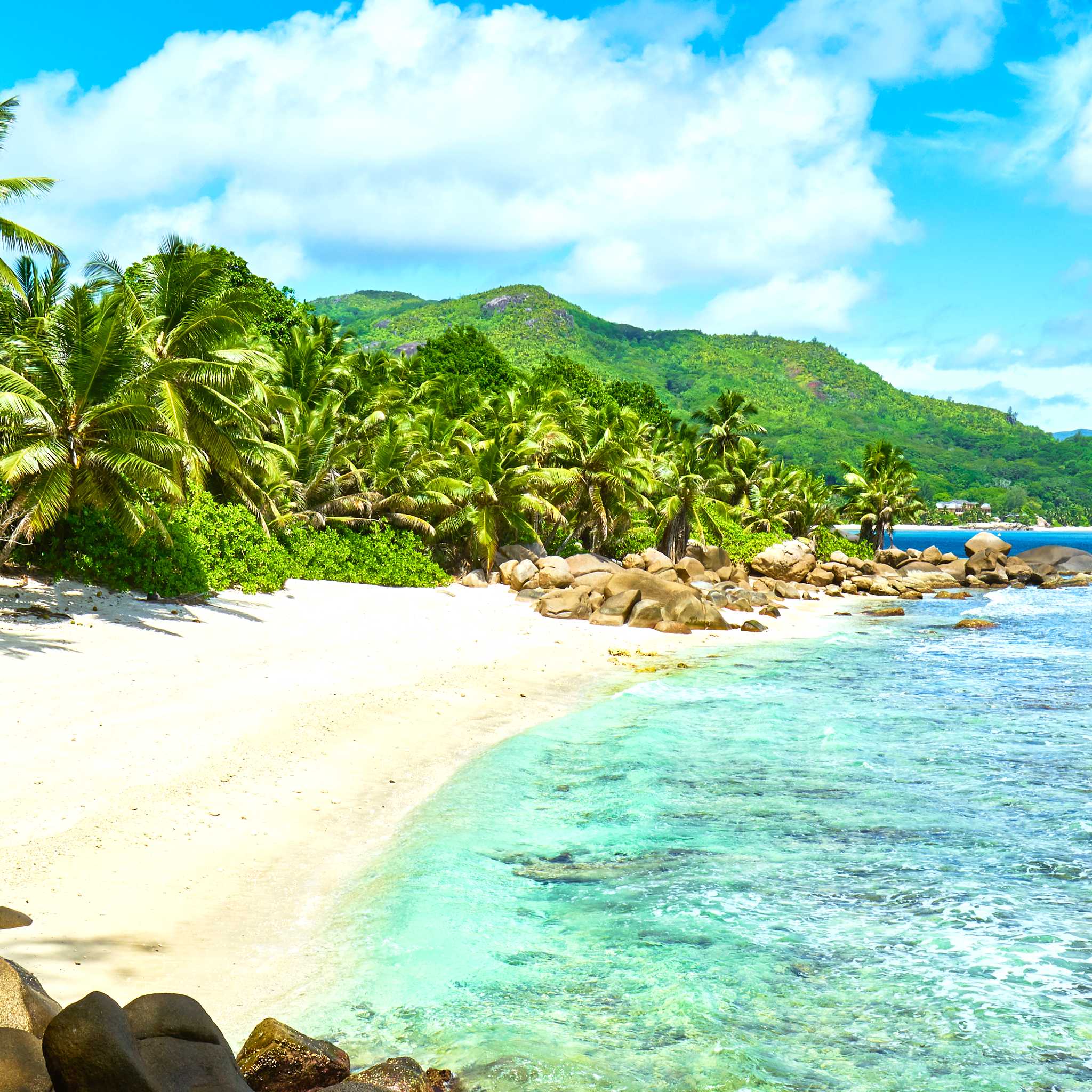 Private car transfers in Seychelles from Quatre Bornes