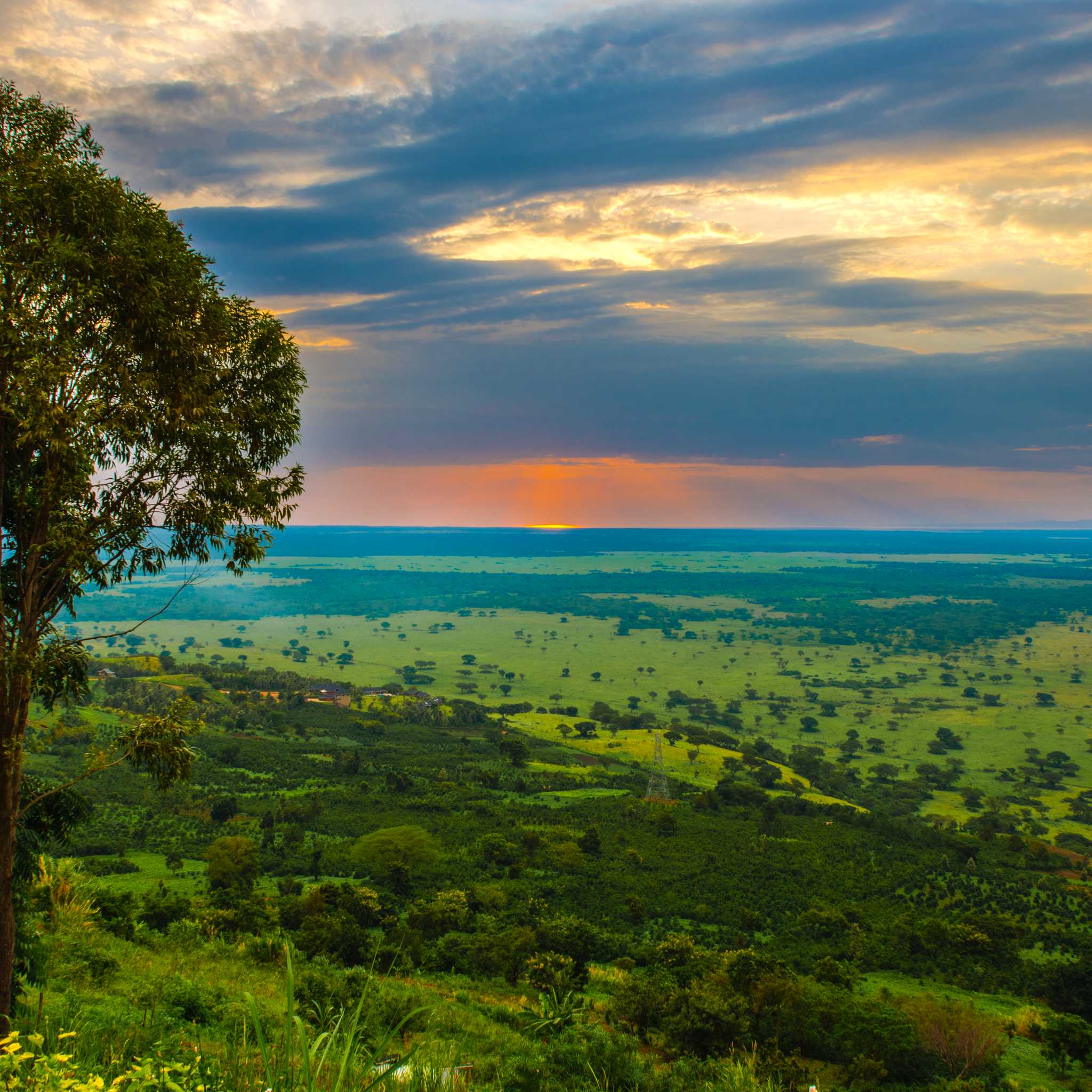 Queen Elizabeth National Park
