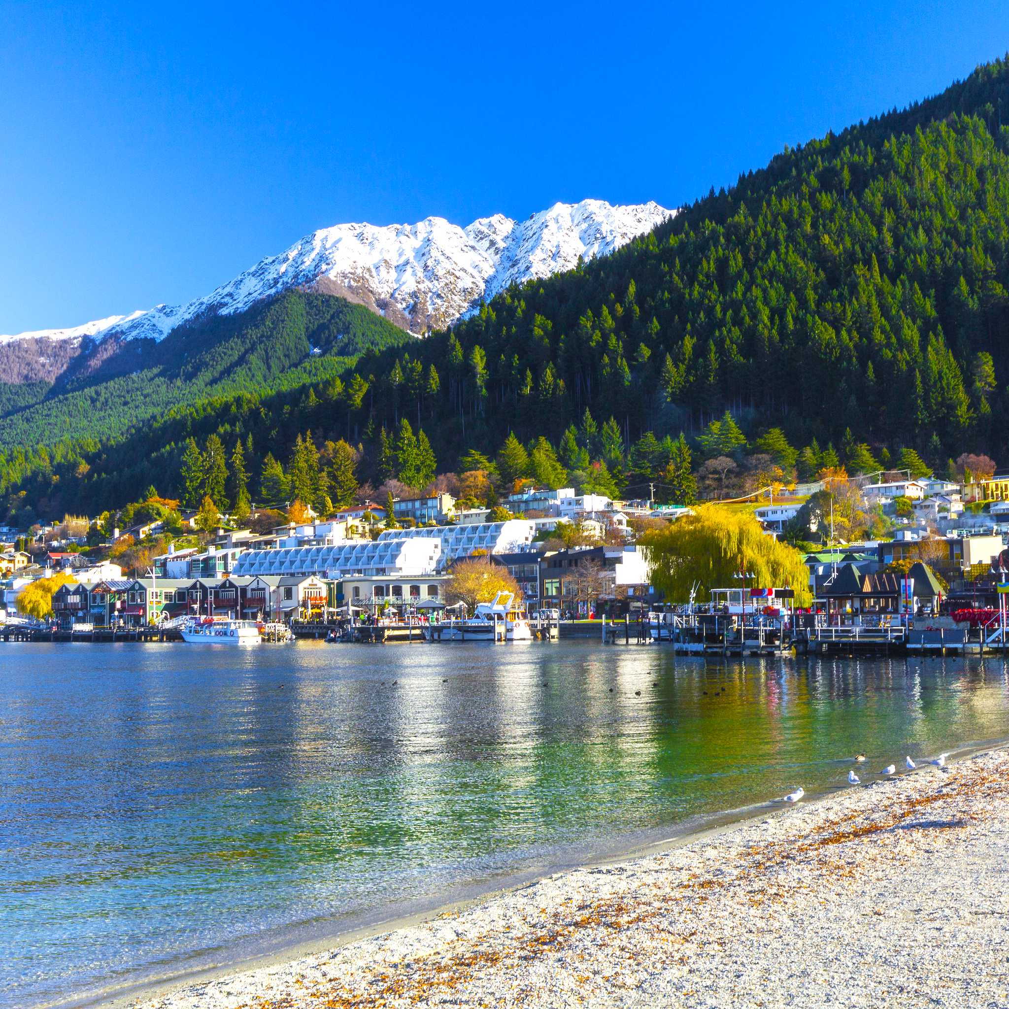 Private car transfers in New Zealand from Queenstown