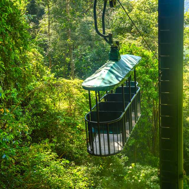 Butterflies and jungle zip lines: Private day trip from Jaco