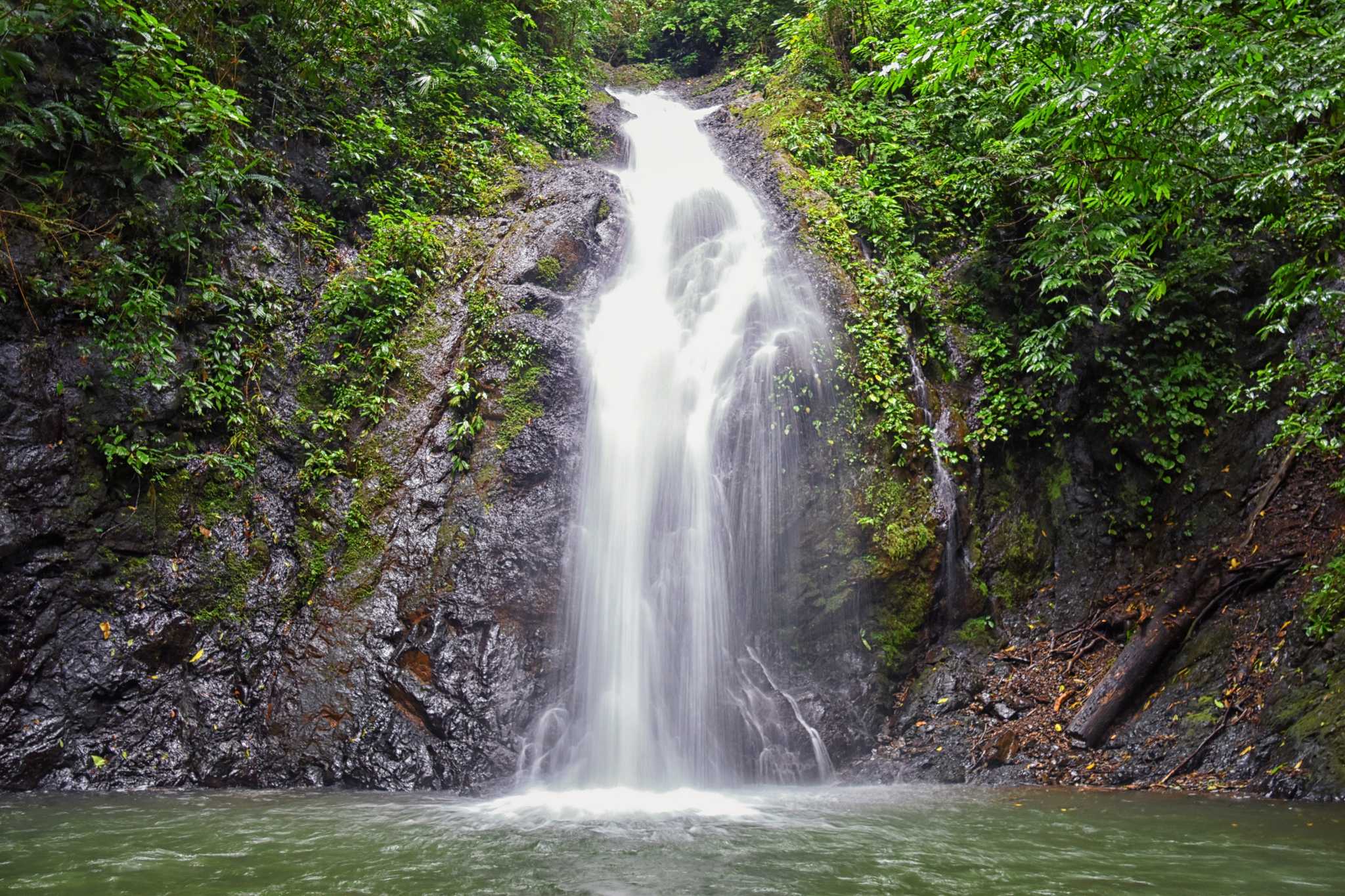 Itinerary stop at Rainforest Adventures Jaco on private day trip from Jaco