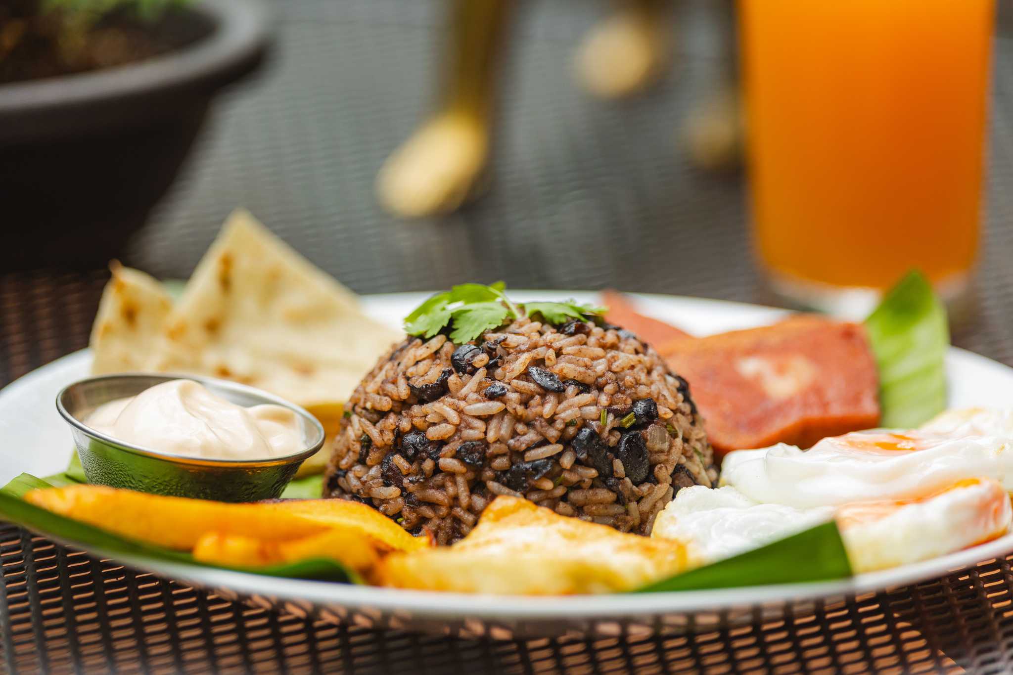 Itinerary stop at Rainforest Adventures Jaco on private day trip from Jaco