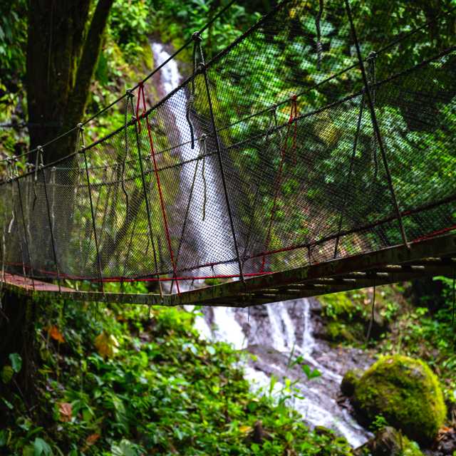 San Jose to Rainmaker Forest: Private day trip