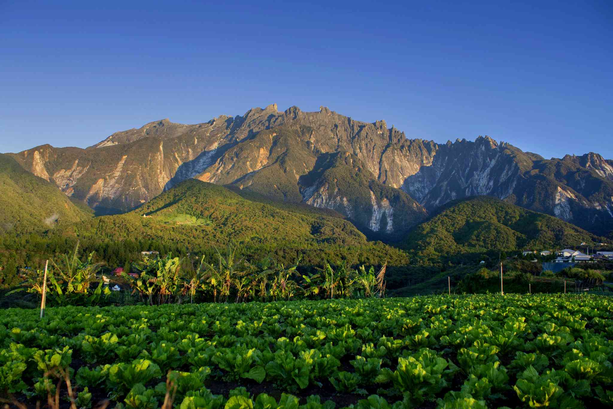 Scenic view of Ranau - private day trip from Brunei International Airport - photo 2