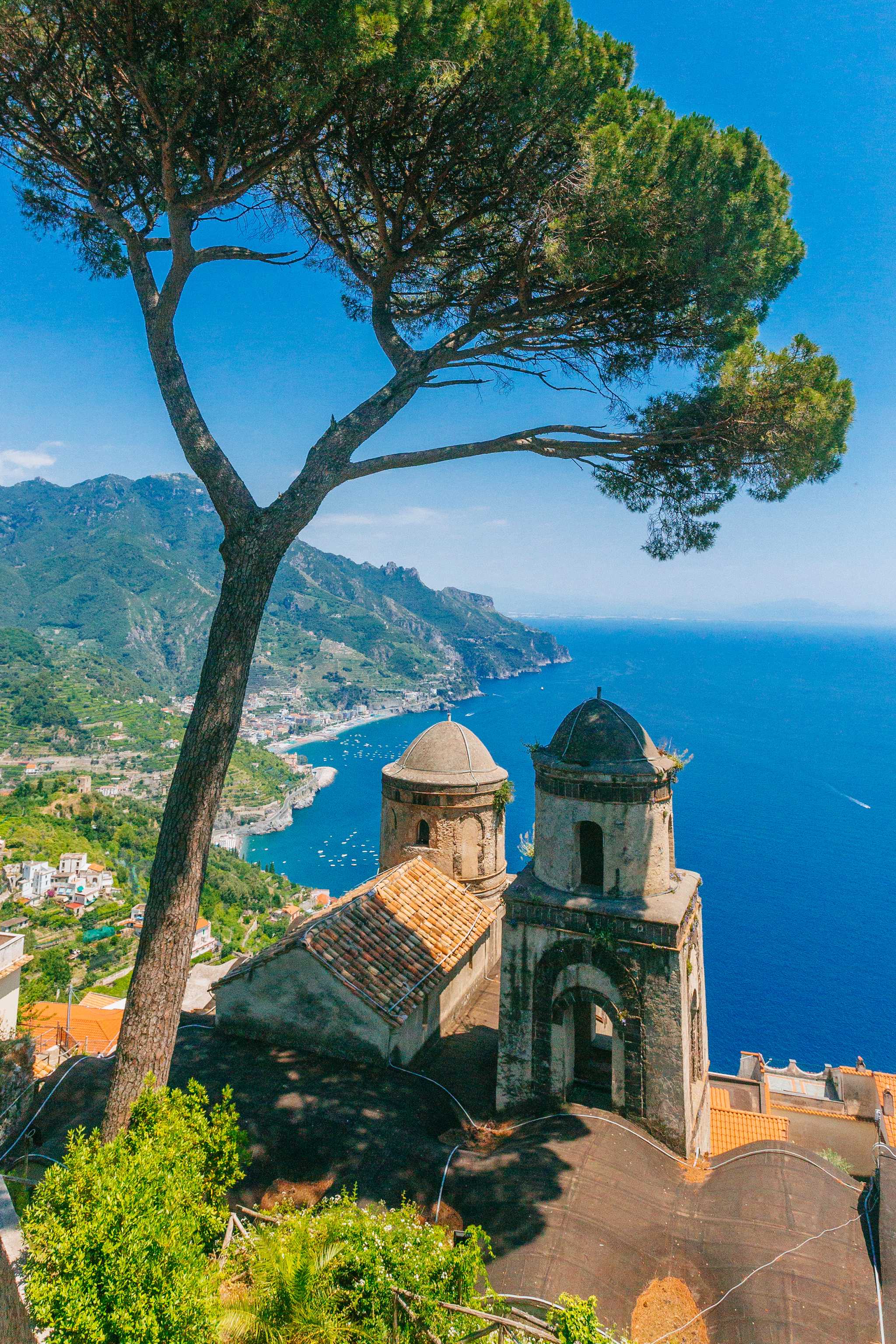 Church domes and the Amalfi coastline seen from Ravello, a tall pine framing the blue sea below.