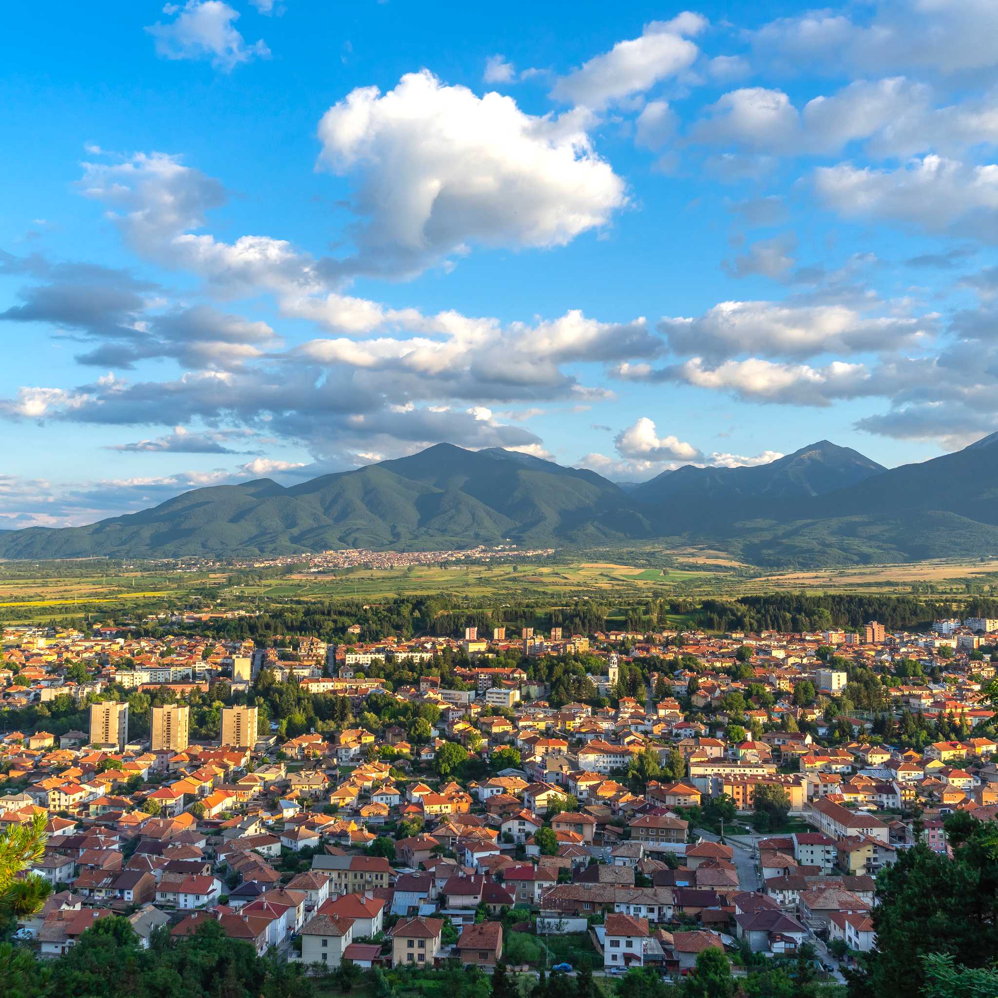 Razlog