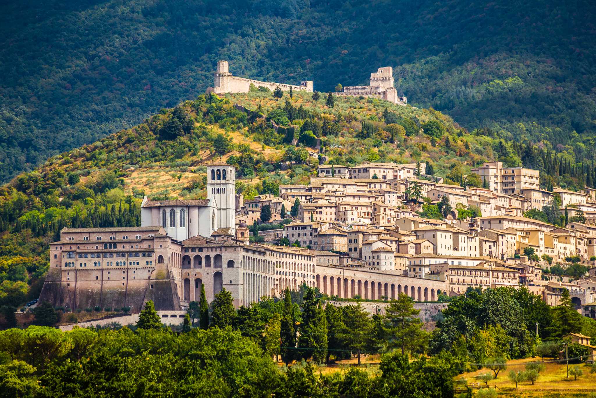 A centered shot of Assisi and its surrounding green hills.