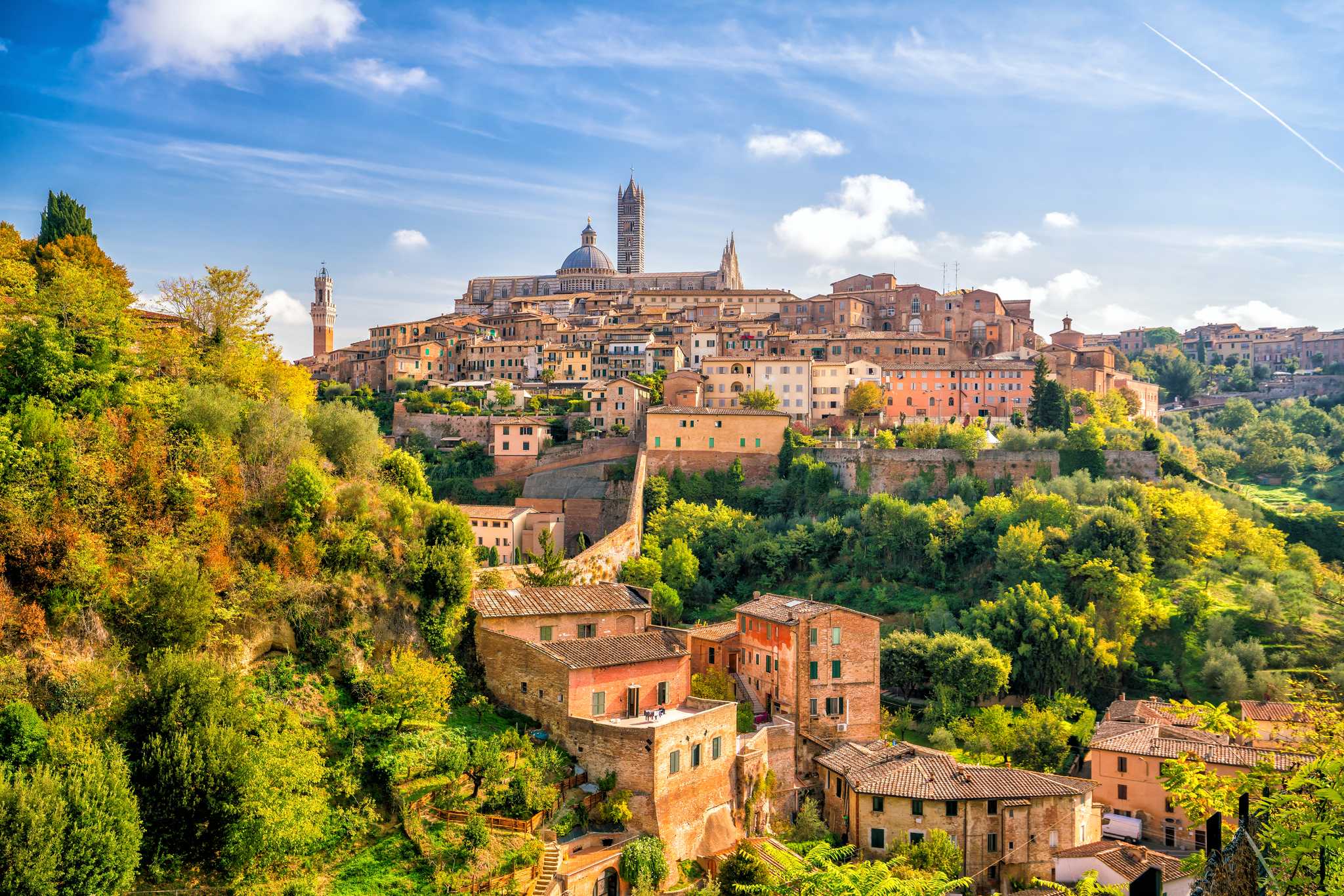 Siena framed by lush green trees, with the Torre del Mangia dominating the skyline.