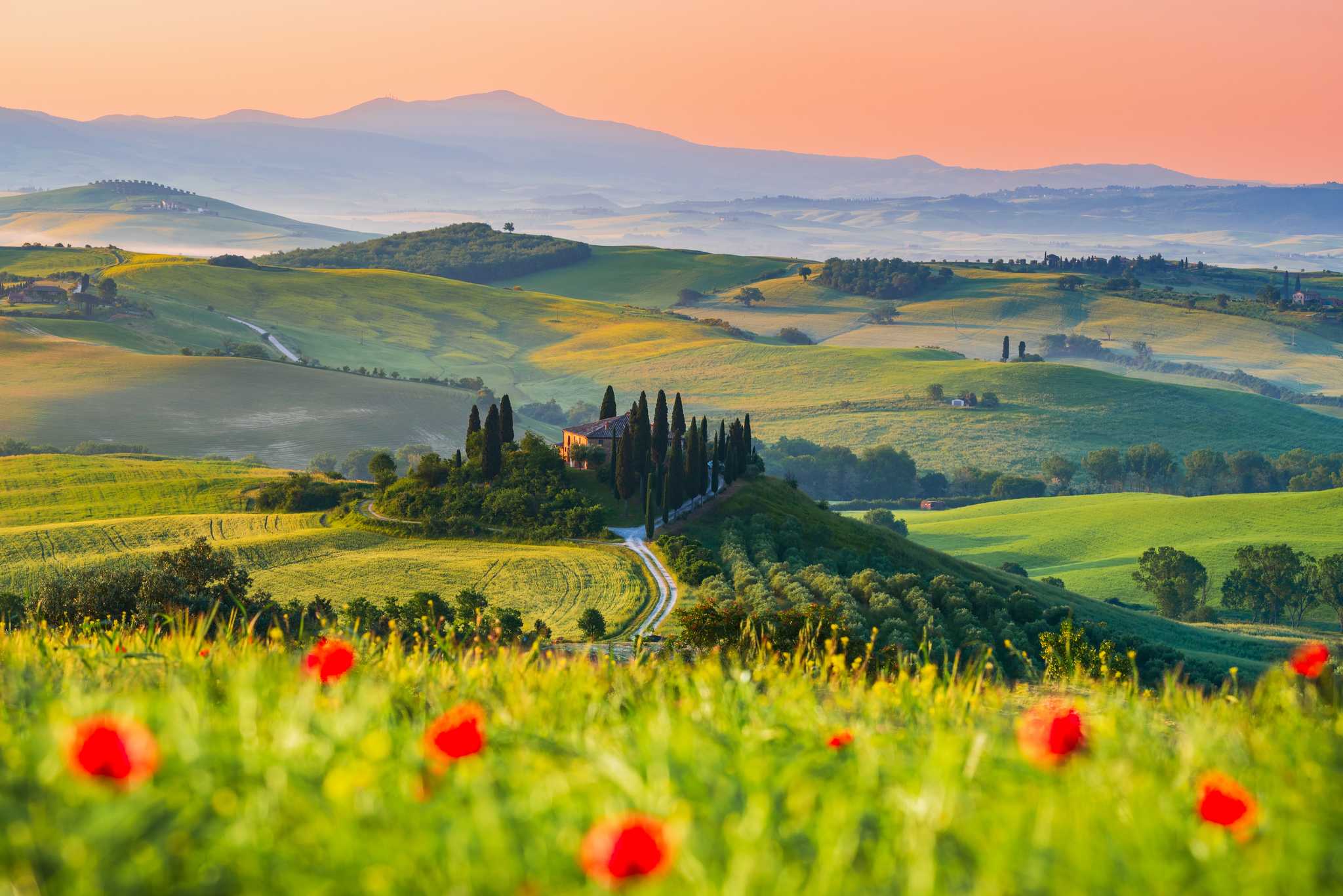 A villa in the Val d’Orcia with red flowers in the foreground and distant vineyards.