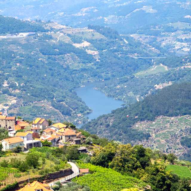 Castelo de Paiva to Douro Valley and Resende: Day trip