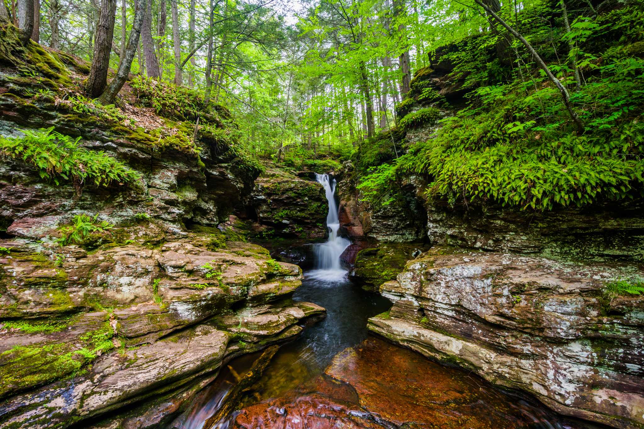 Visit Ricketts Glen State Park on the way from newark-nj-us to toronto-on-ca with Daytrip