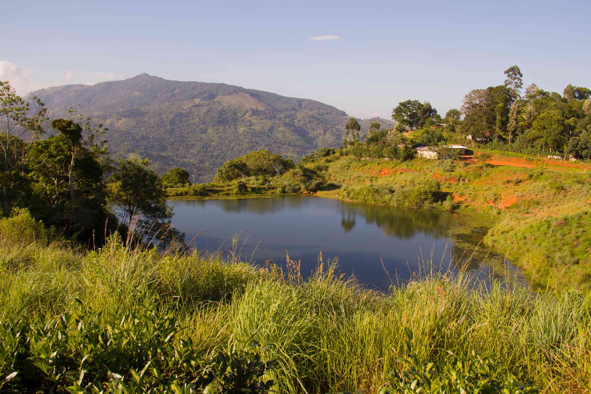 Blick auf die Landschaft von Rikillagaskada - private Tagesreise von Kandy - Foto 2