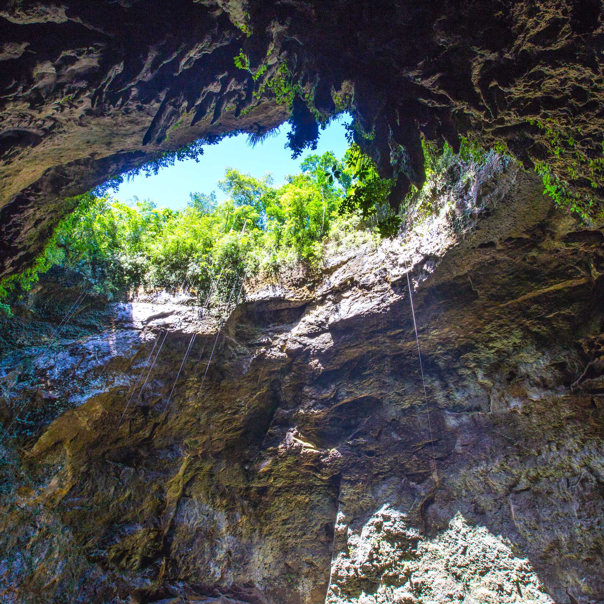 Rio Camuy Caves