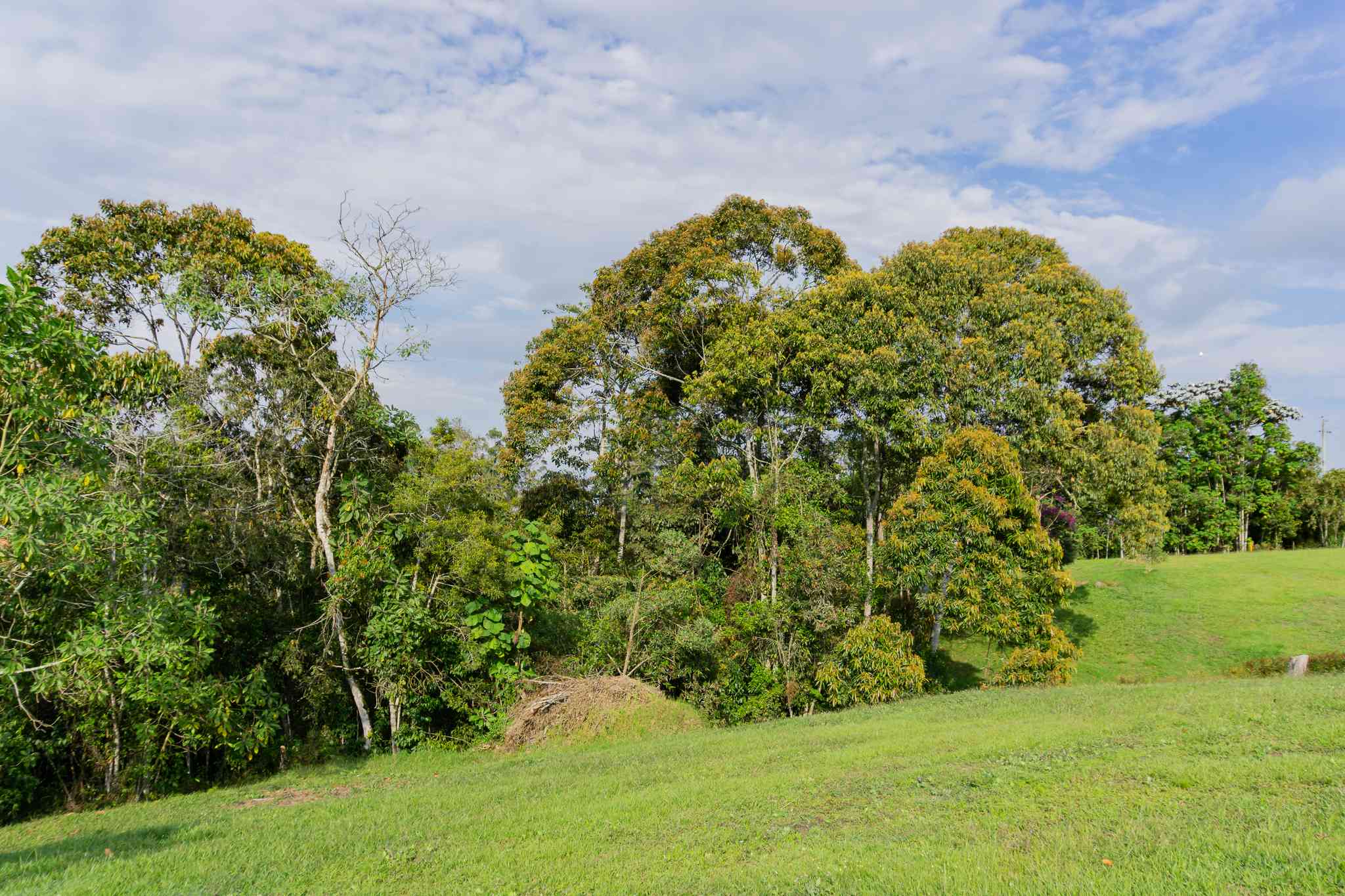 Vista cênica de Medellín - excursão particular de um dia de Rionegro - foto 7