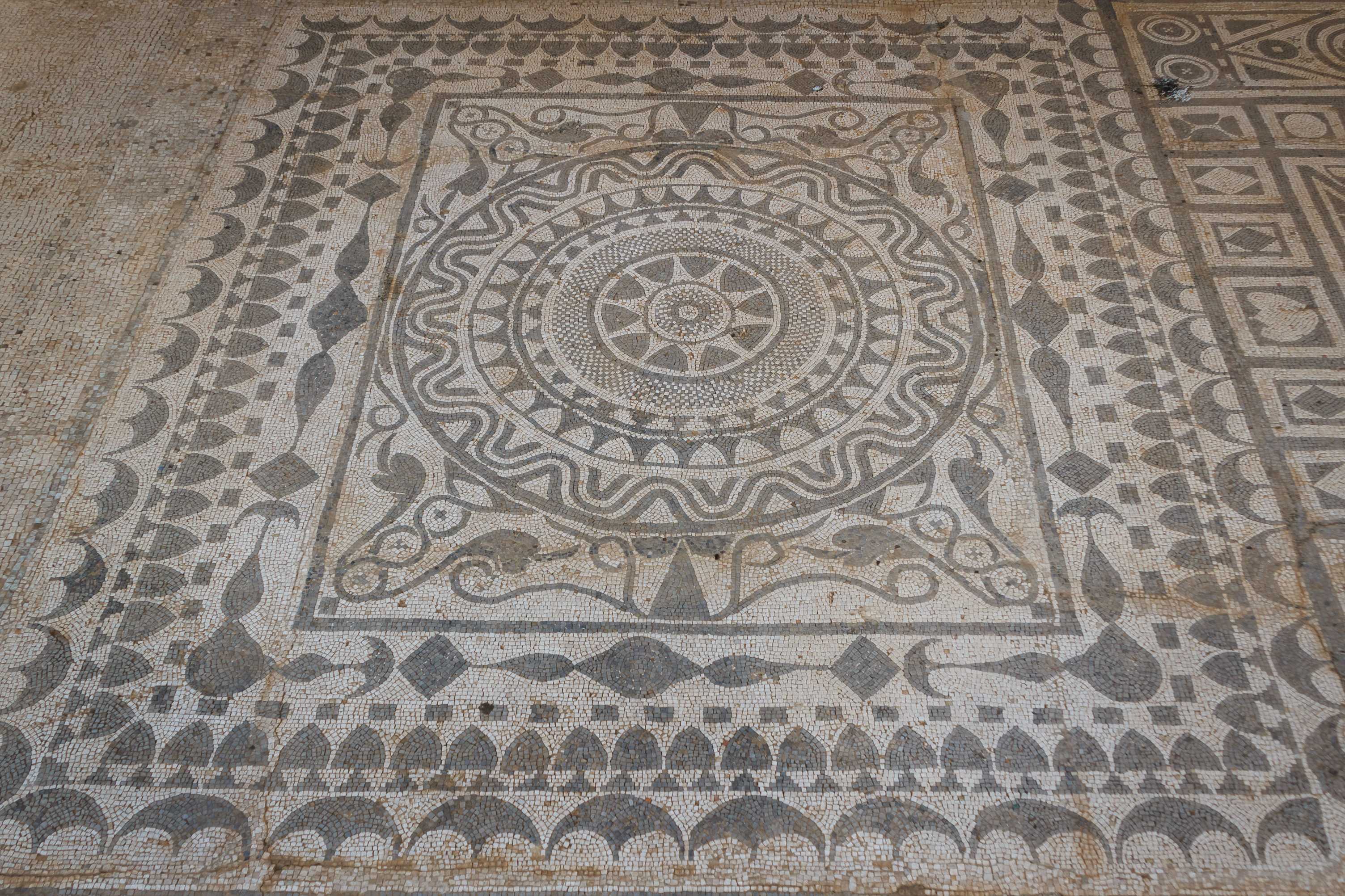Private Day Trip from Shkoder to Perast and Risan Mosaic
