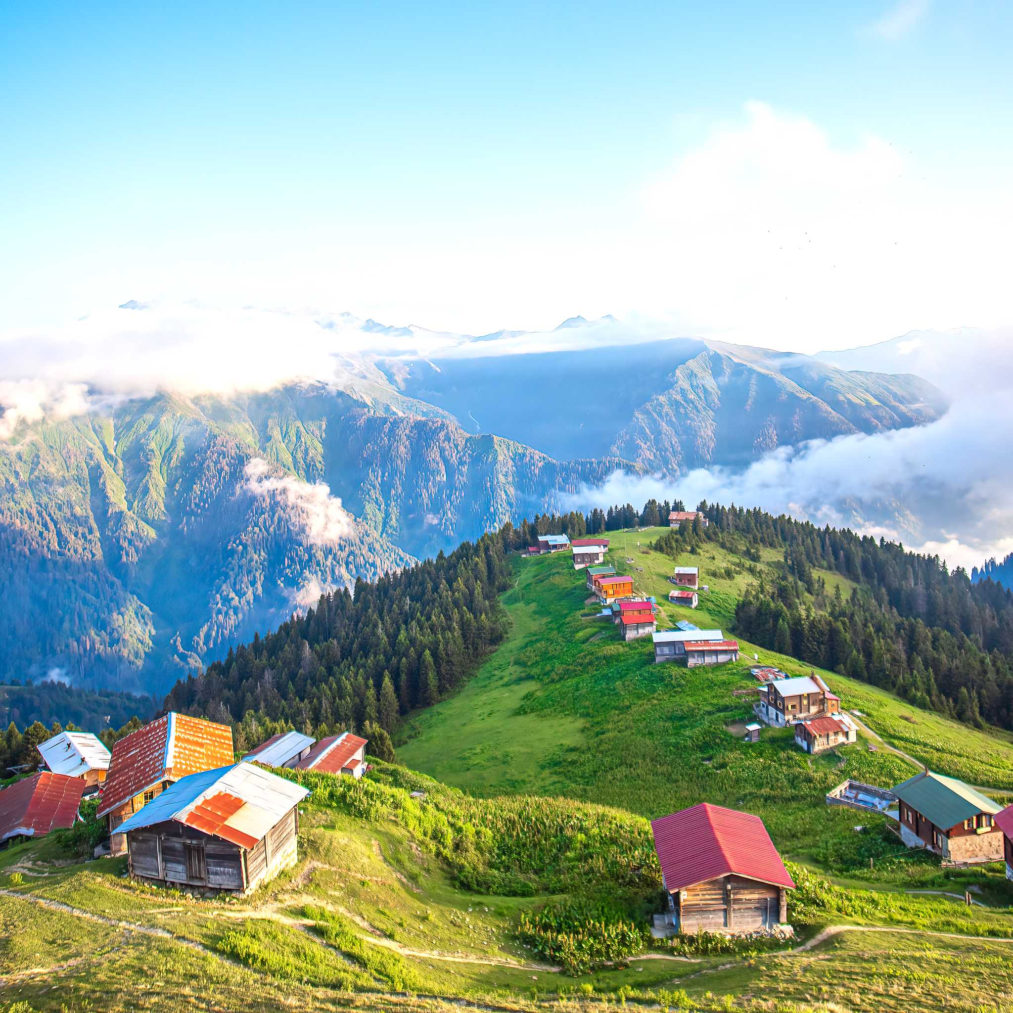 Rize