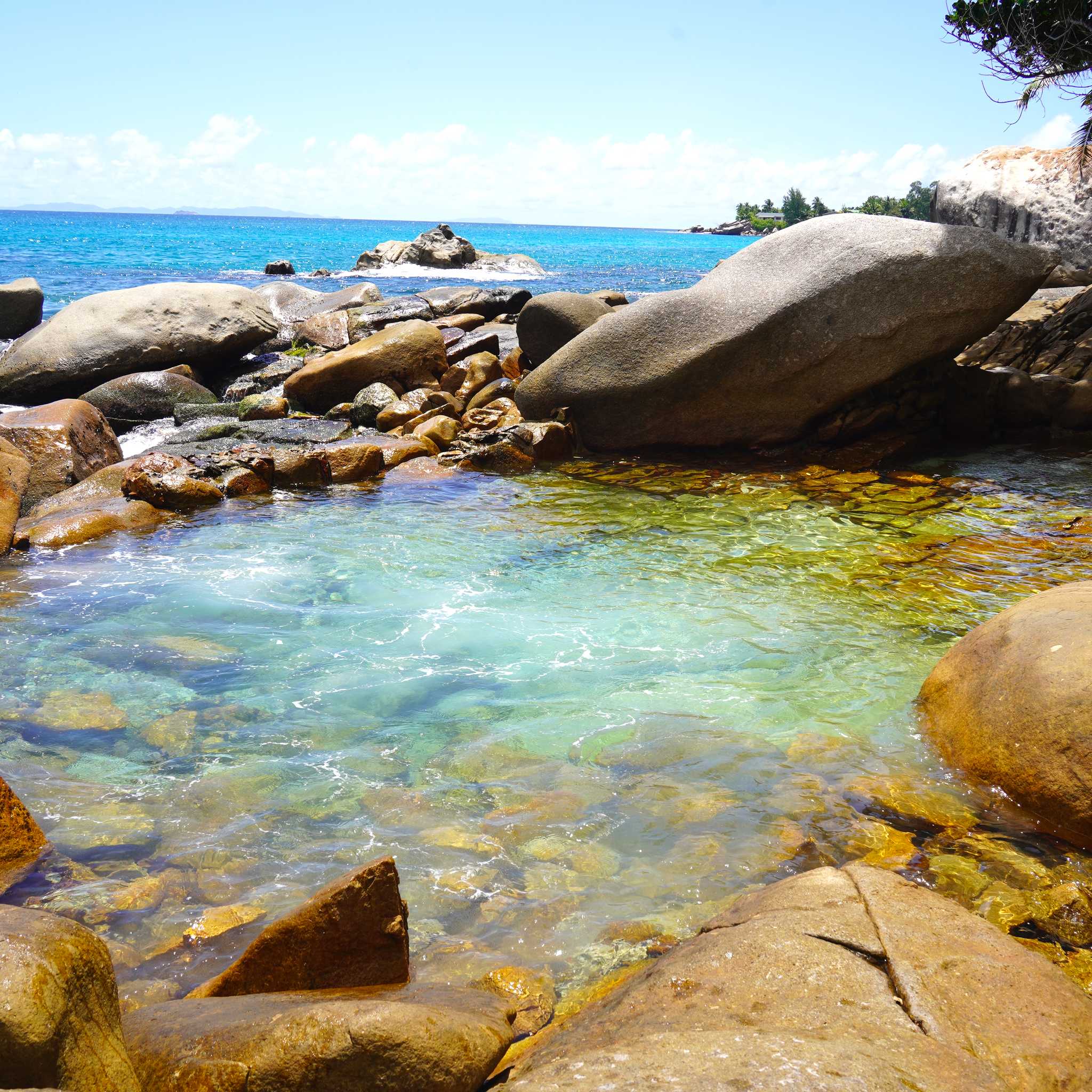 The Rock Pool