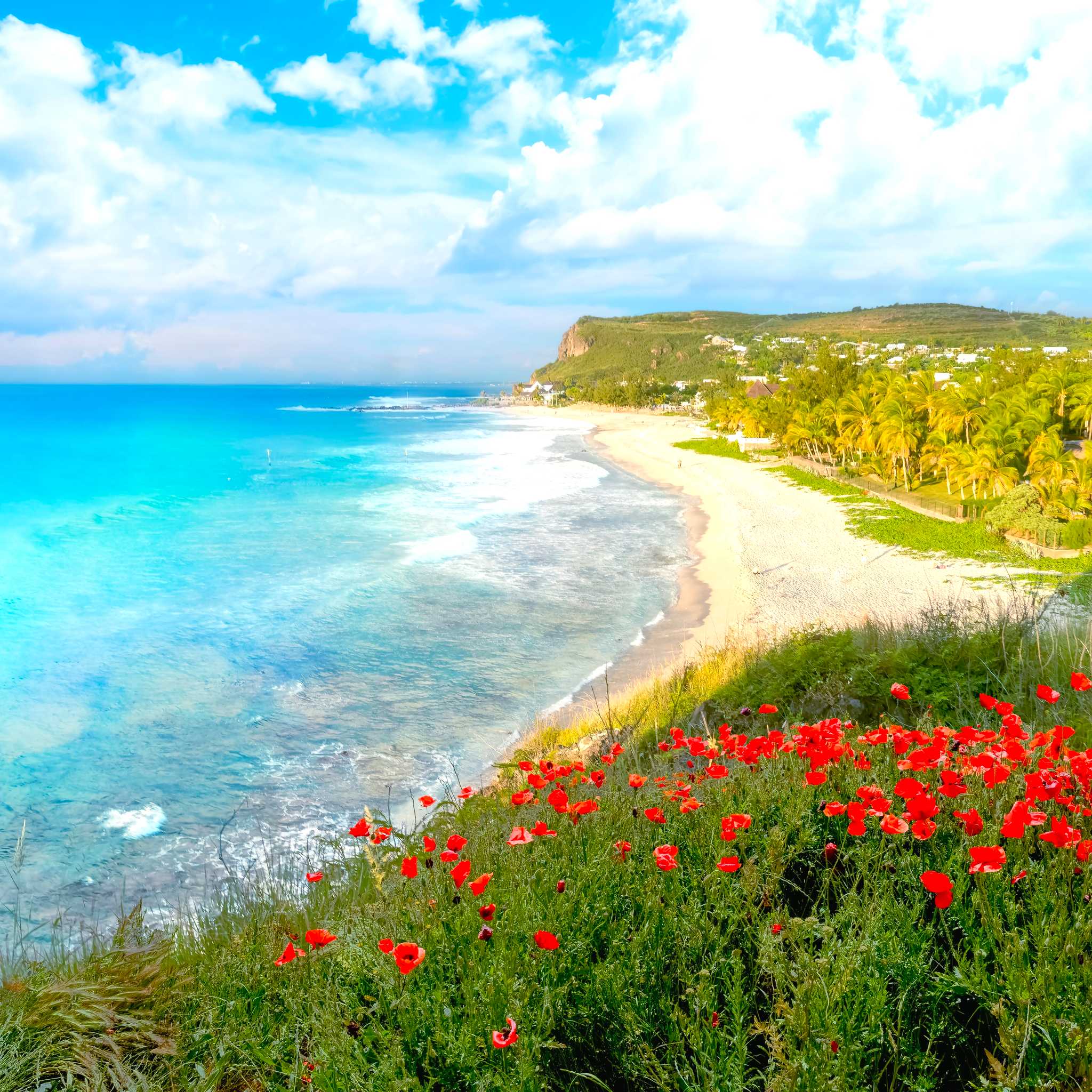 Private car transfers in Réunion from Roland Garros Airport