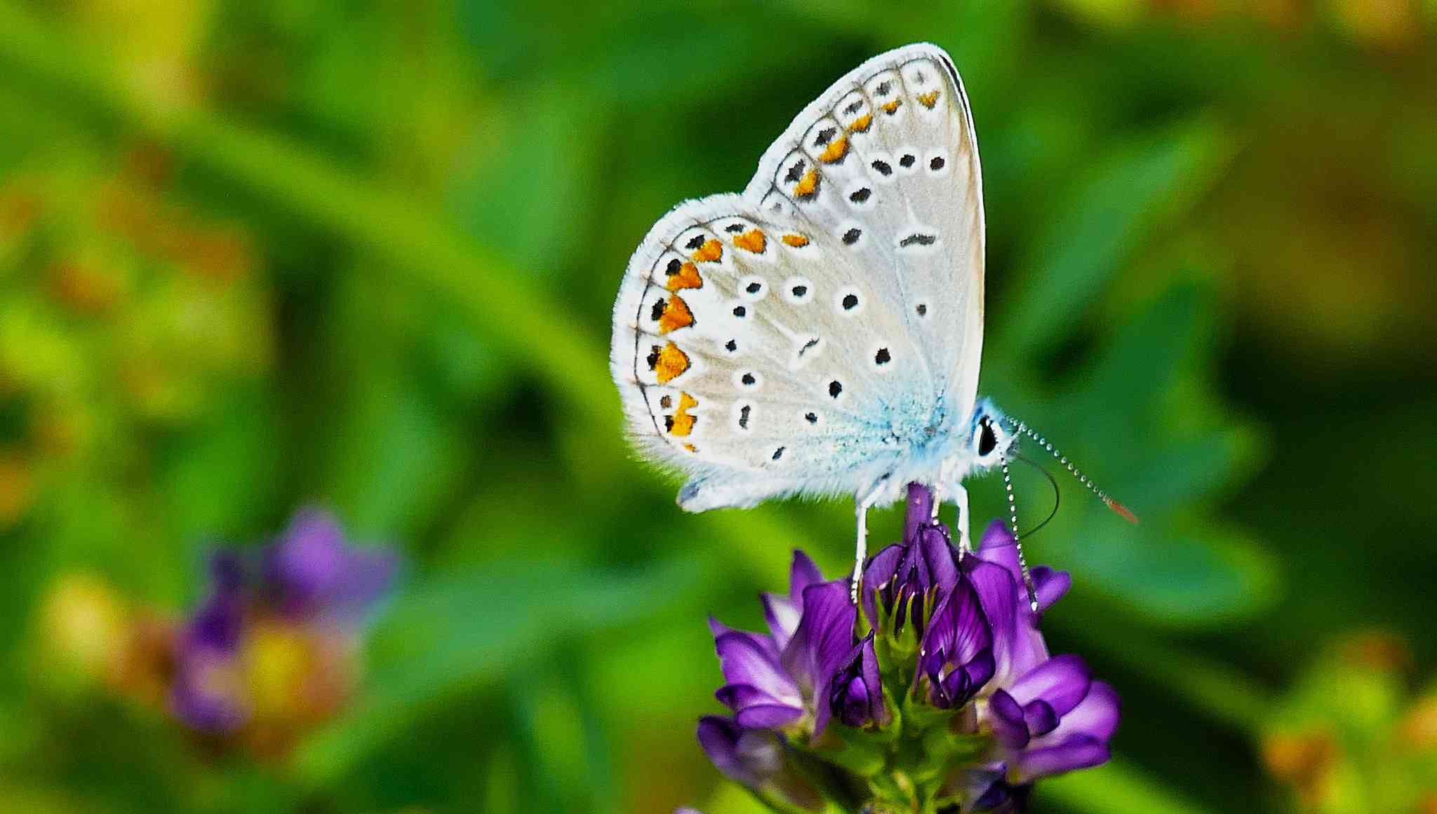 Scenic view of Jaco - private day trip from Jaco - photo 2