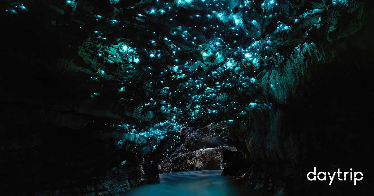 Ruakoru Pattern Private Day Trip from Auckland to Waitomo and Ruakuri Cave