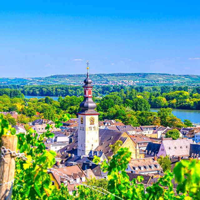Frankfurt to Rudesheim am Rhine: Private day trip