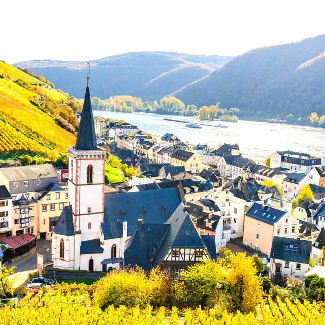 Frankfurt to Rudesheim am Rhein and Loreley: Day trip