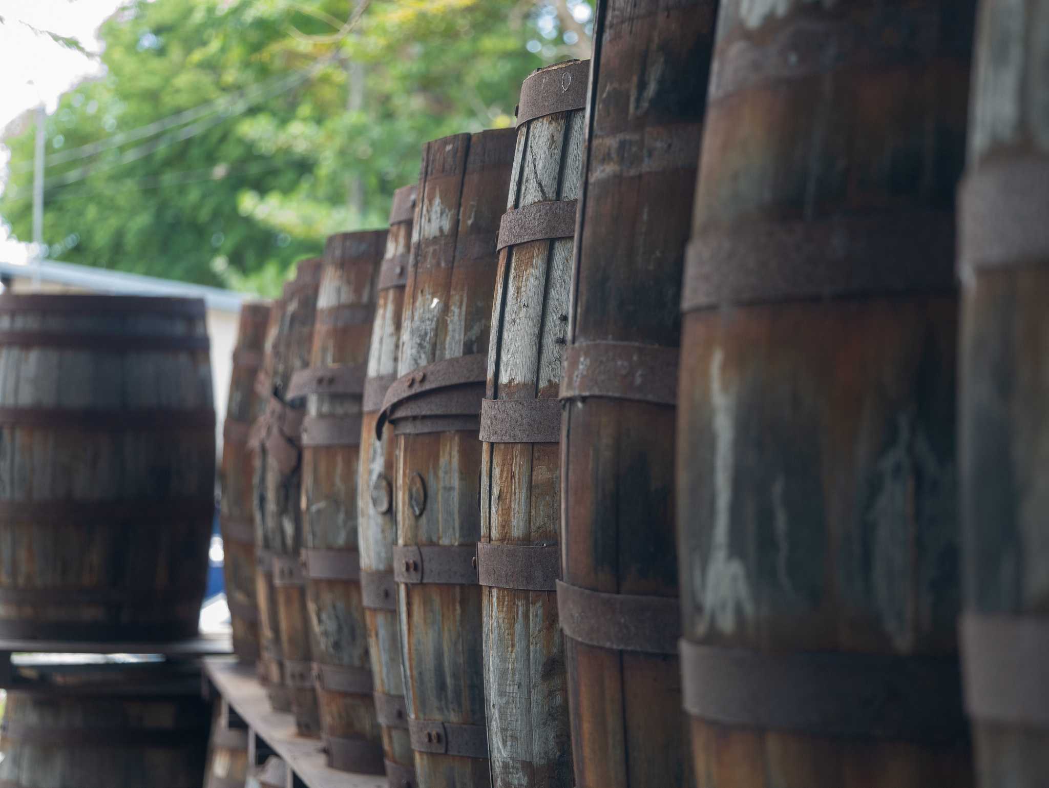 Itinerary stop at Mount Gay Distilleries on private day trip from Bridgetown