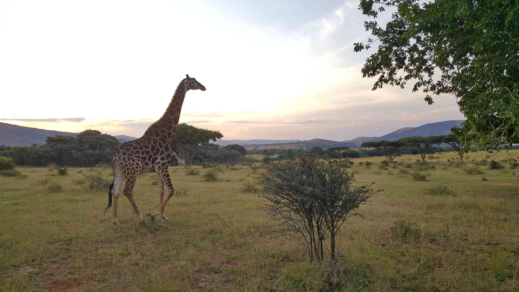 Scenic view of Gaborone - private day trip from Rustenburg - photo 4