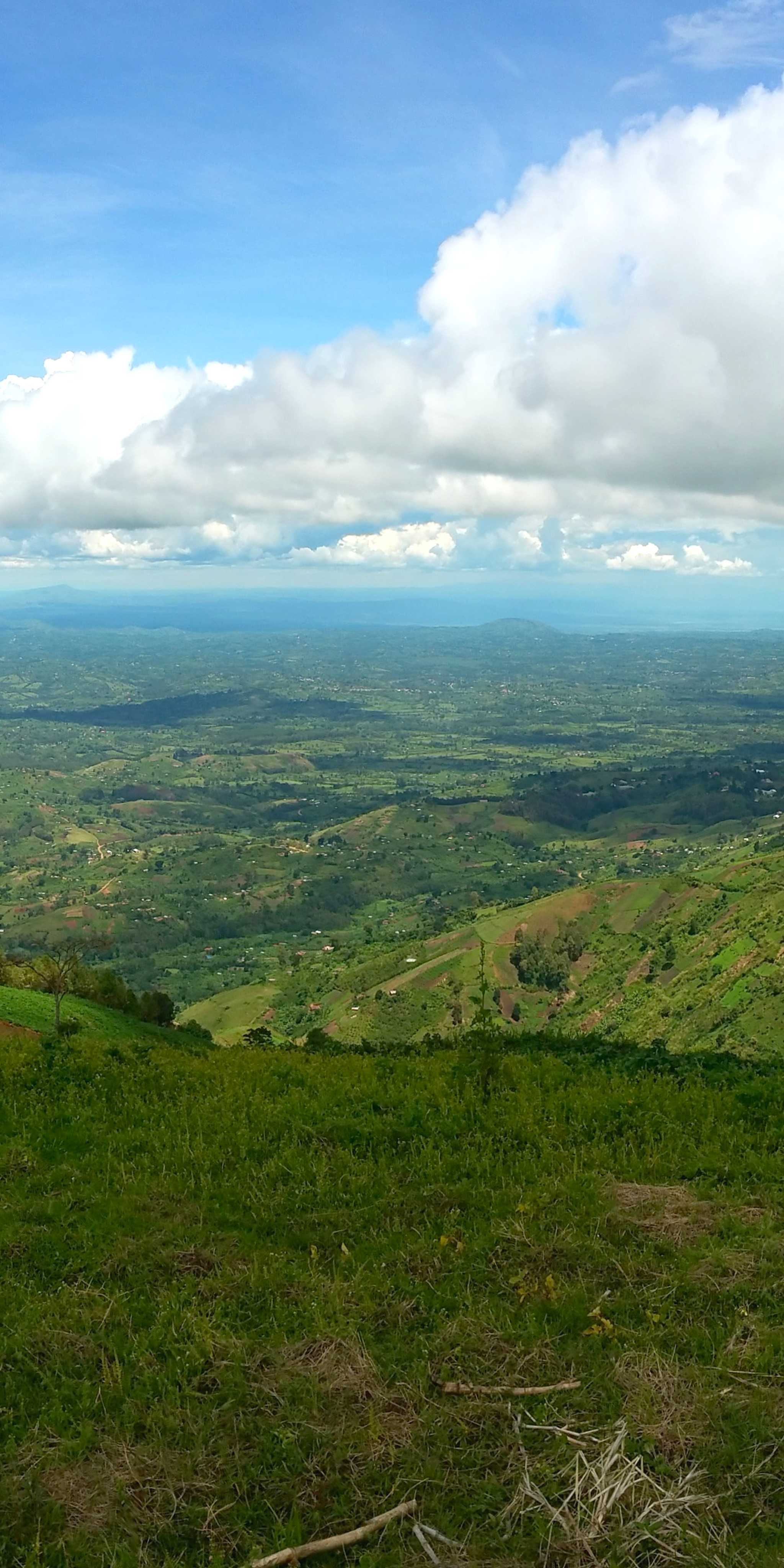 Rwenzori Mountains National Park