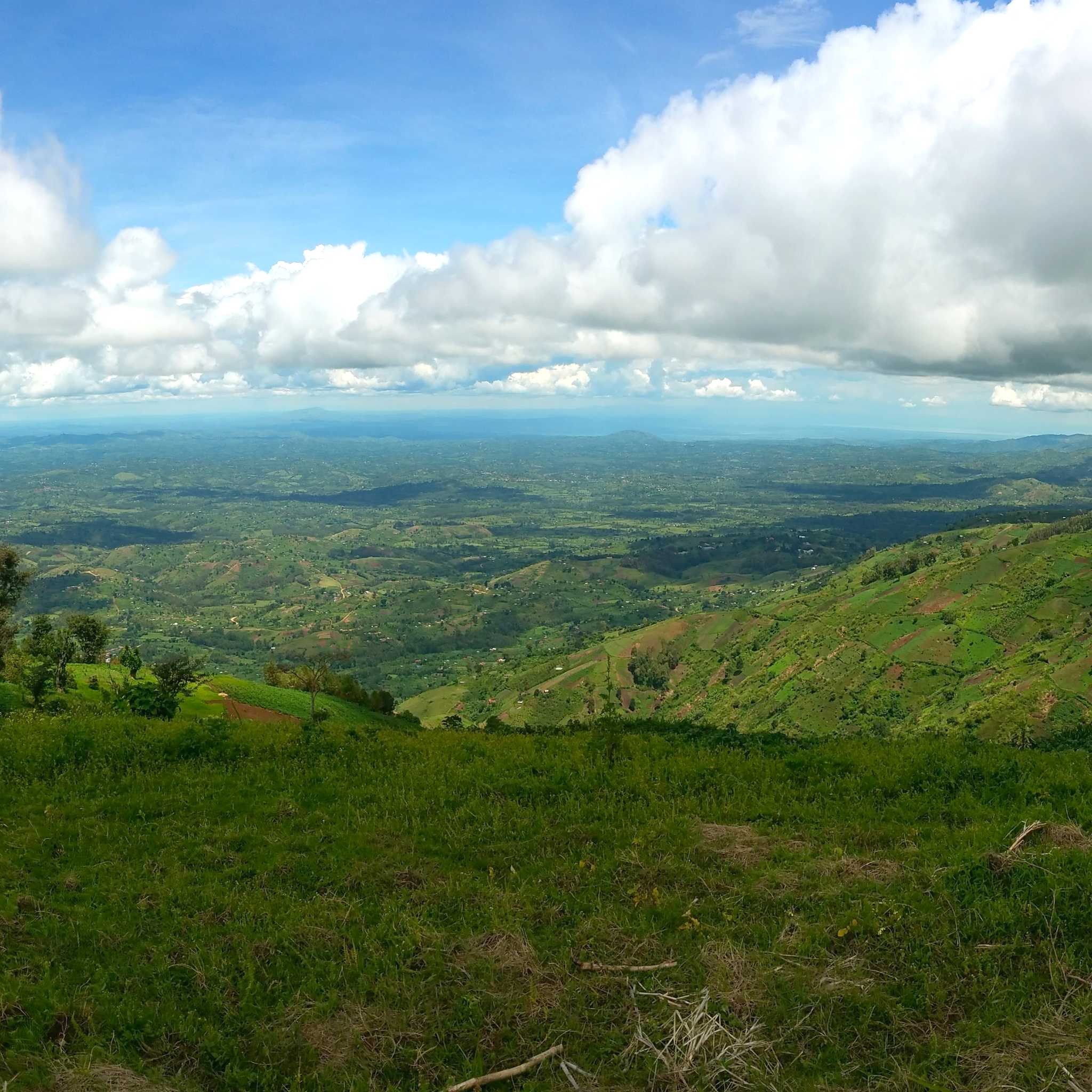 Traslados en coche privado en Uganda desde Rwenzori Mountains National Park