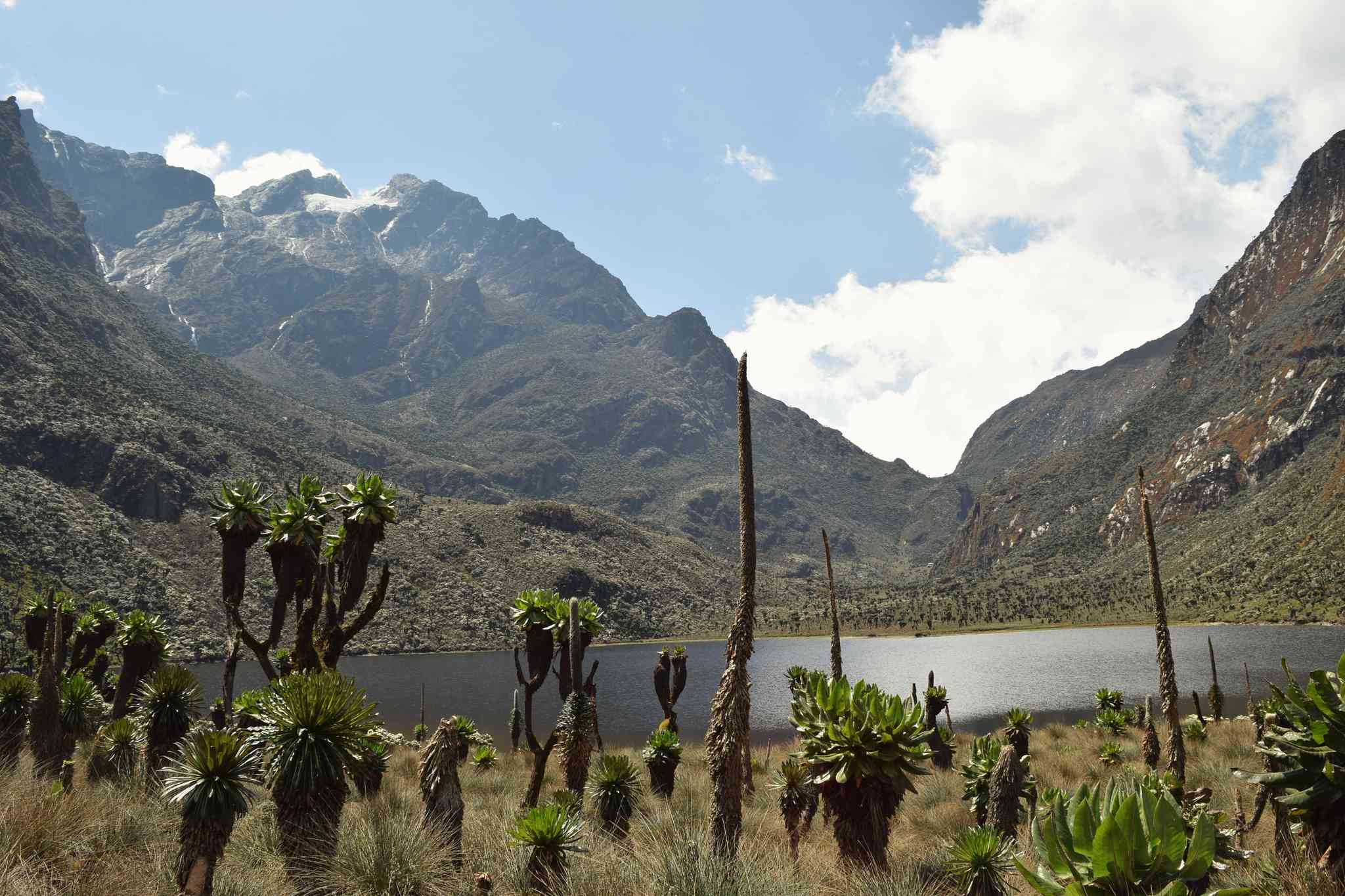 Blick auf die Landschaft von Kampala - private Tagesreise von Rwenzori Mountains National Park - Foto 6