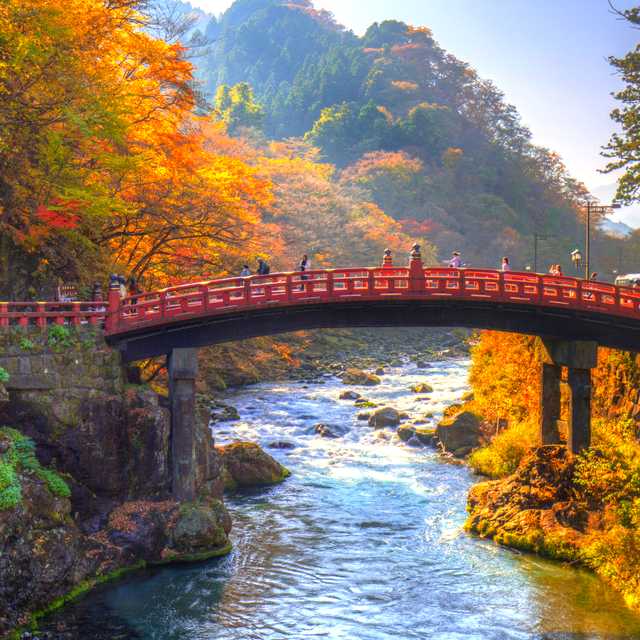 Tokyo to Lake Chuzenji and Ryuzu Falls: Private day trip