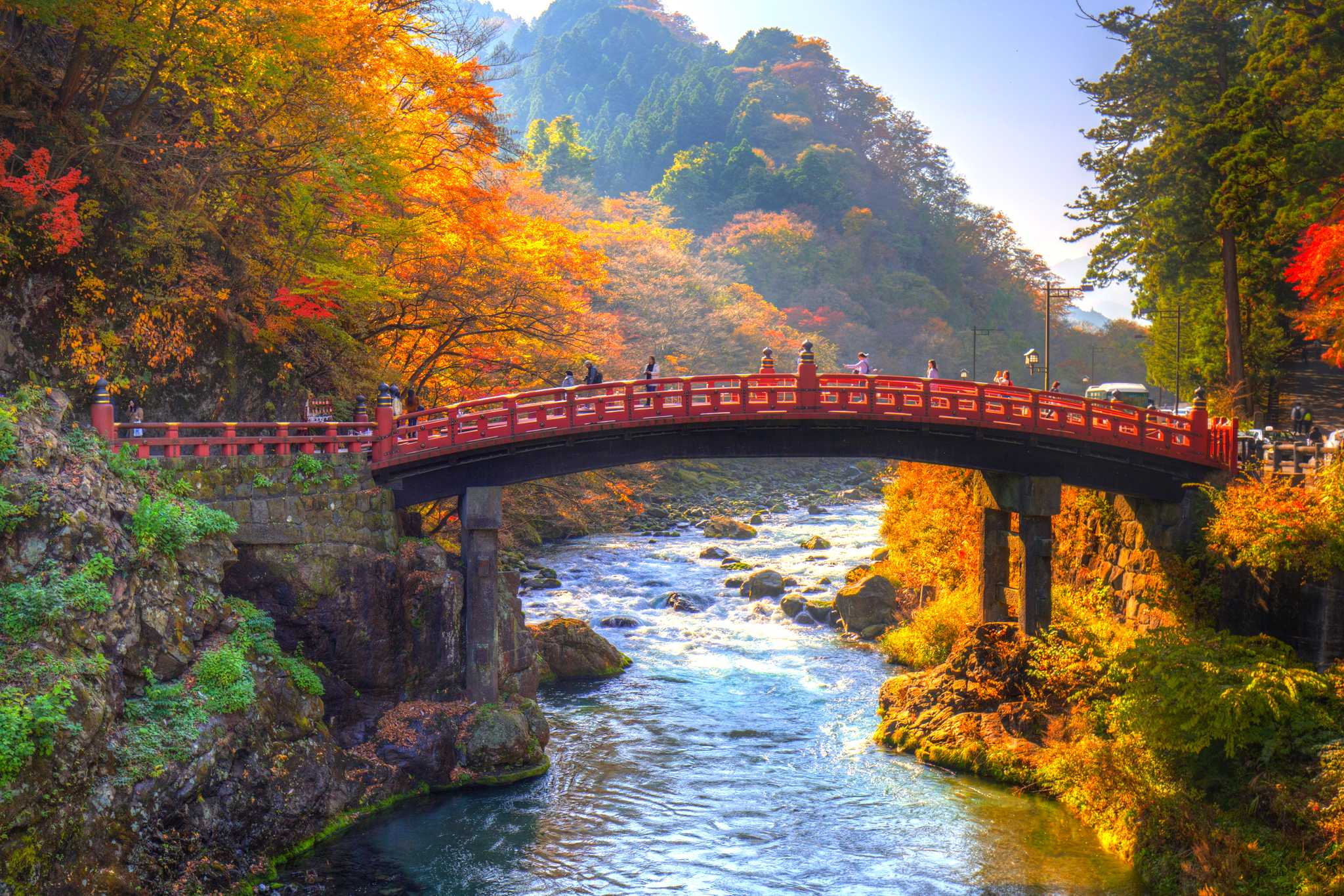 Opção de excursão privada de um dia de Tokyo