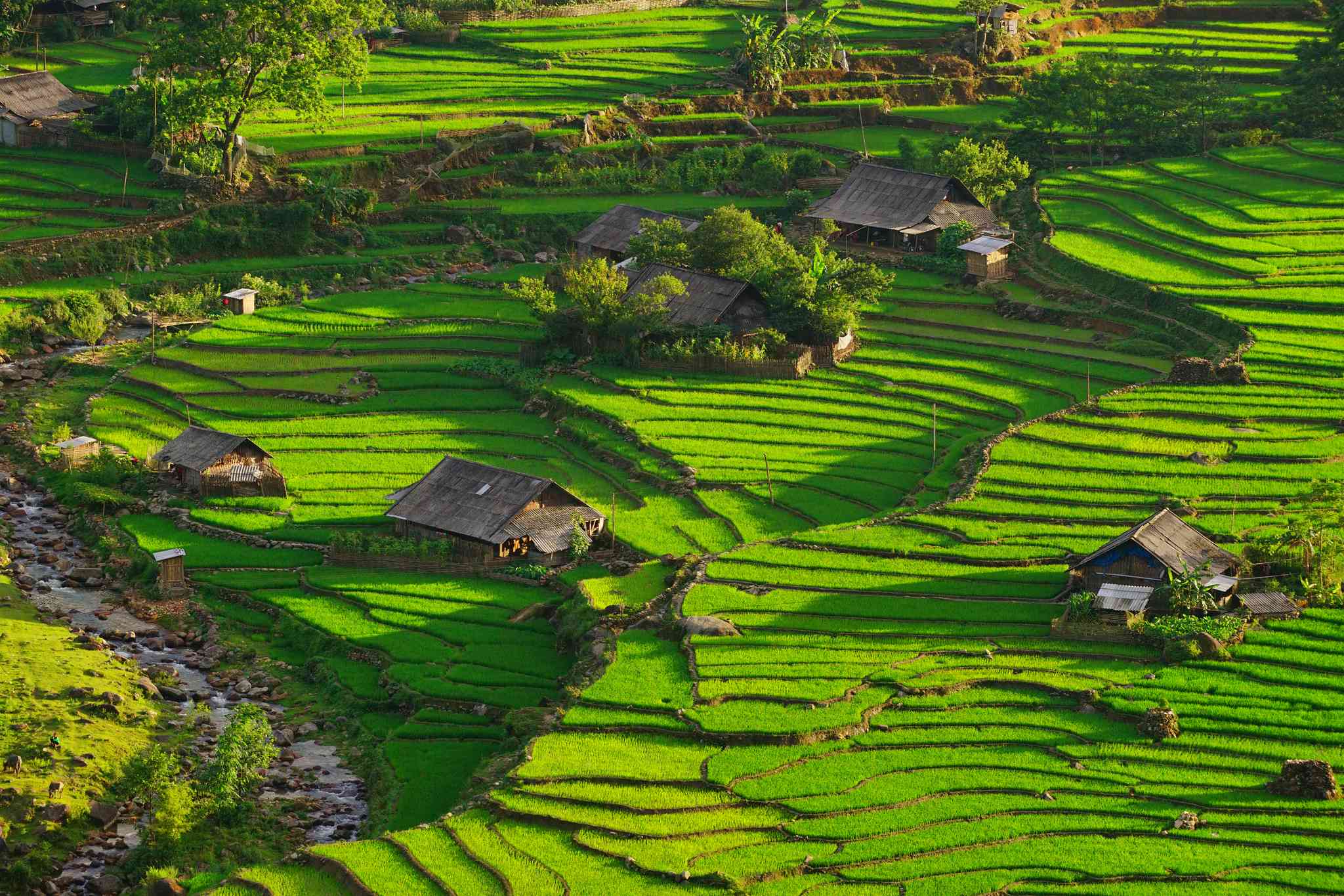 Blick auf die Landschaft von Ninh Binh - private Tagesreise von Sapa - Foto 11