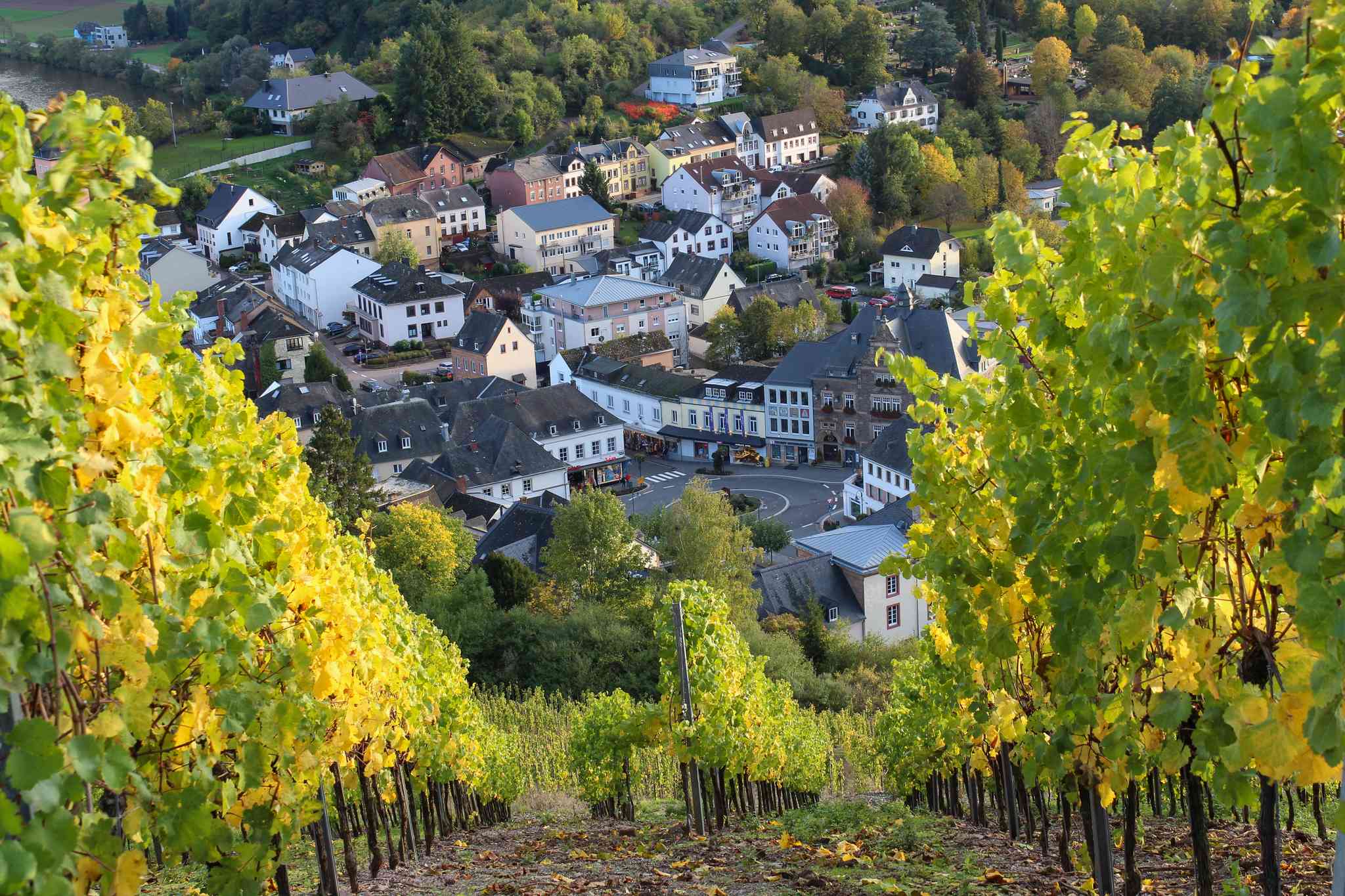 Blick auf die Landschaft von Saarburg - private Tagesreise von Munich - Foto 3