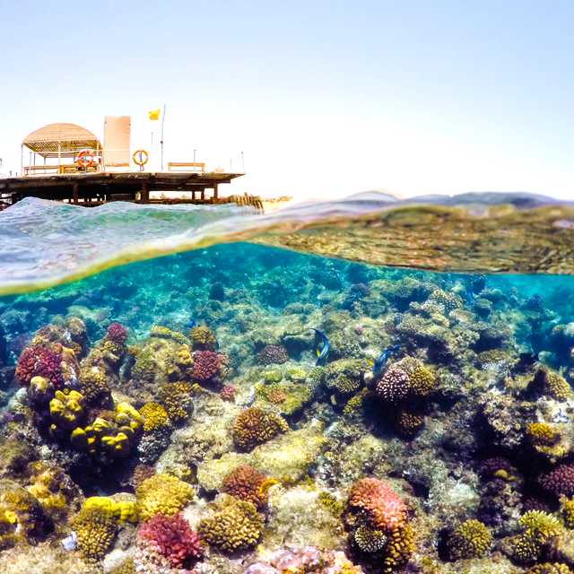 Hurghada to Safaga and Mons Claudianus: Private day trip