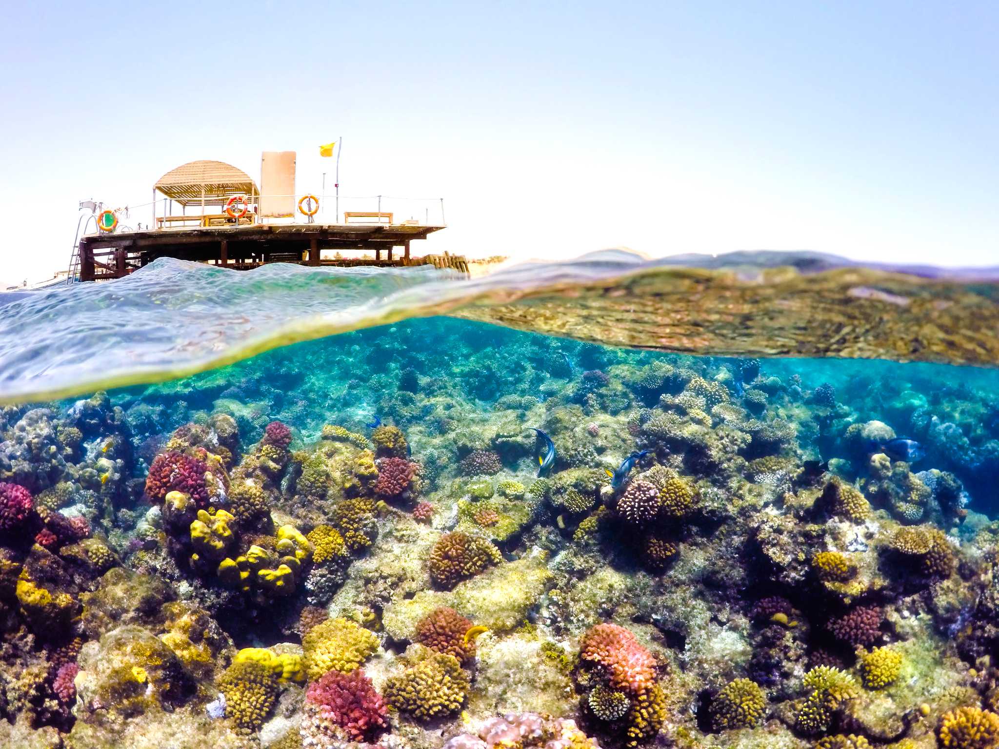 Hurghada to Safaga and Mons Claudianus: Private day trip