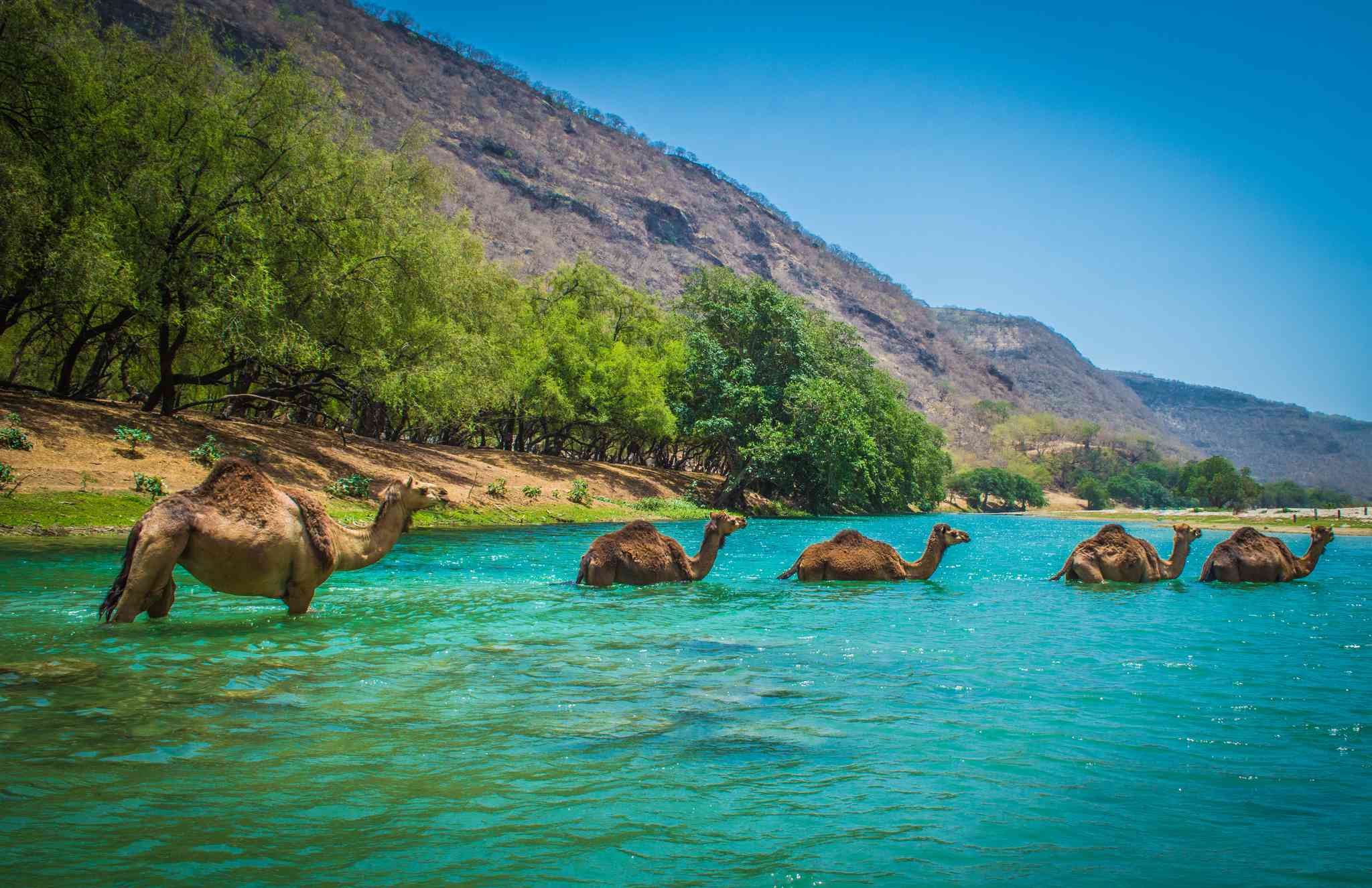 Scenic view of Muscat - private day trip from Salalah - photo 5