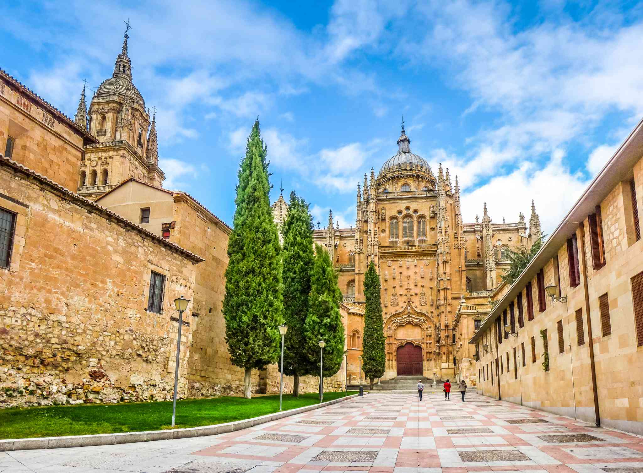 Vista panorámica de Peso da Régua - excursión privada de un día desde Salamanca - foto 6