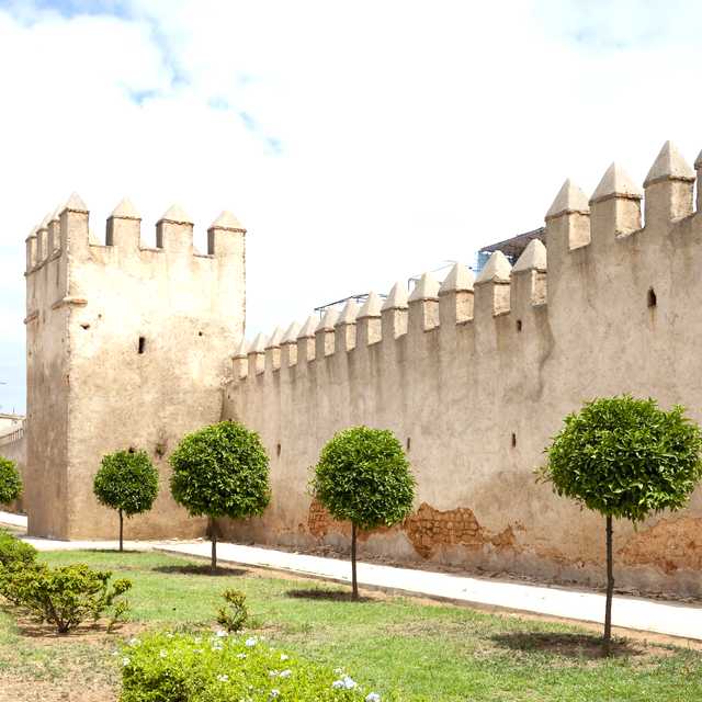 Casablanca to Rabat and Sale: Private day trip