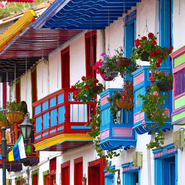 Pereira to Salento and Wax Palms of Cocora Valley: Day trip