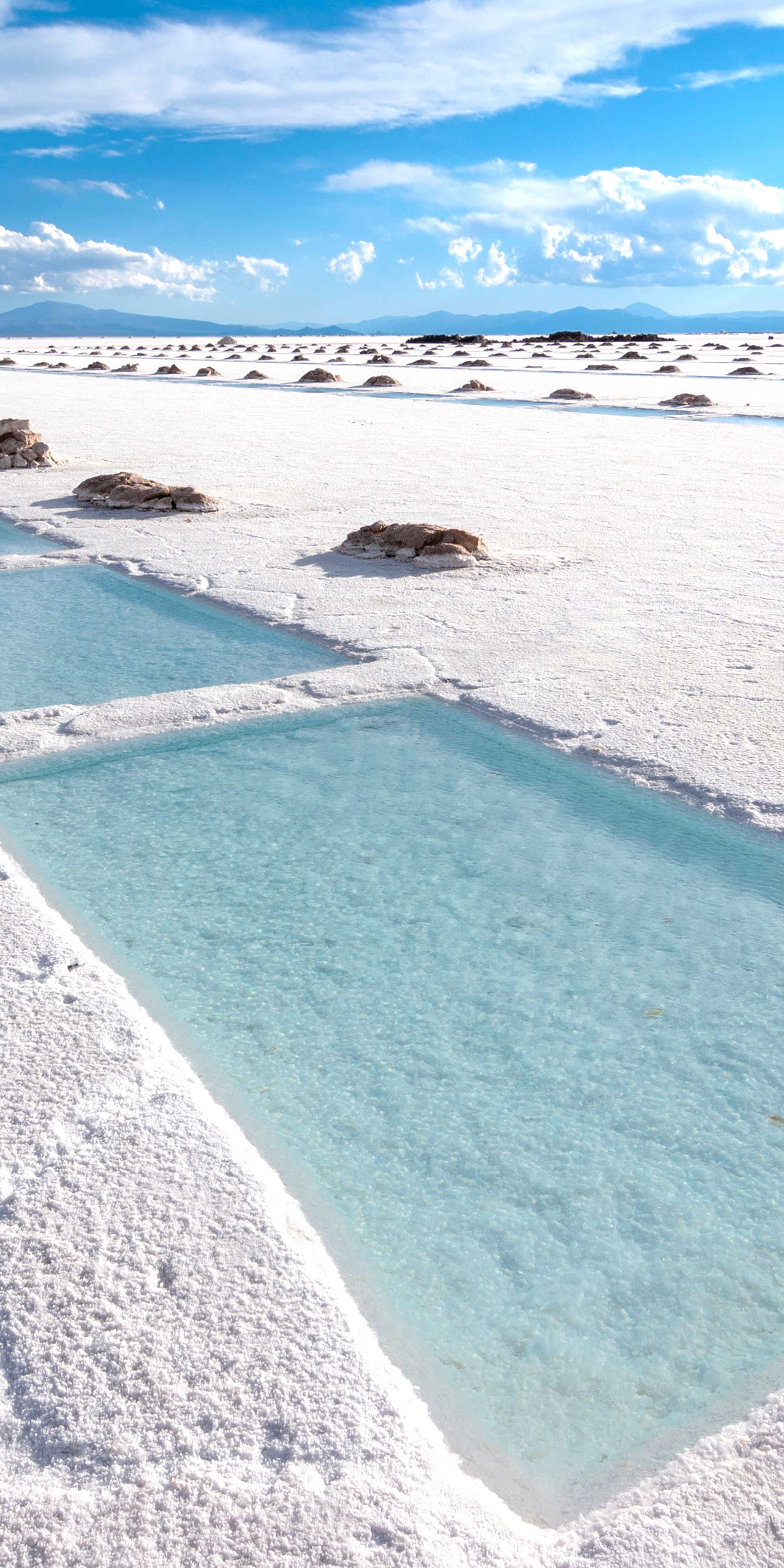 萨利纳斯大盐沼