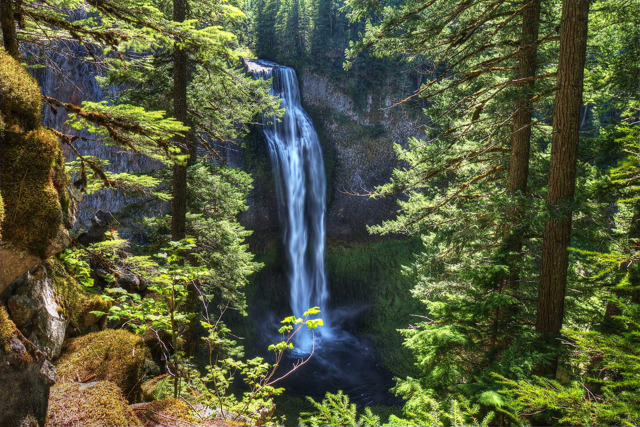 在 从 reno-nv-us 到 portland-or-us 的途中，参观 Salt Creek Falls ，通过 Daytrip