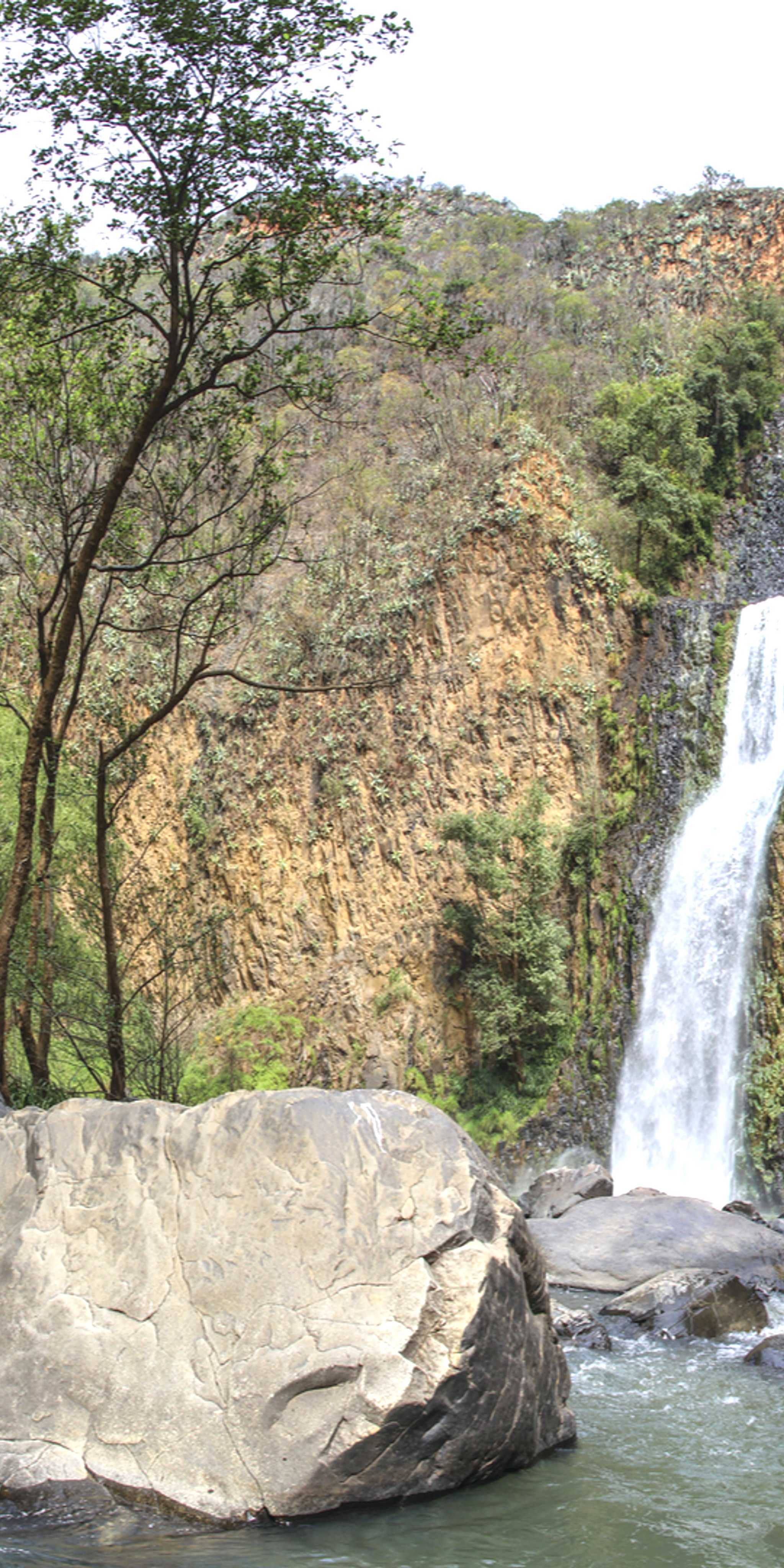Salto del Nogal